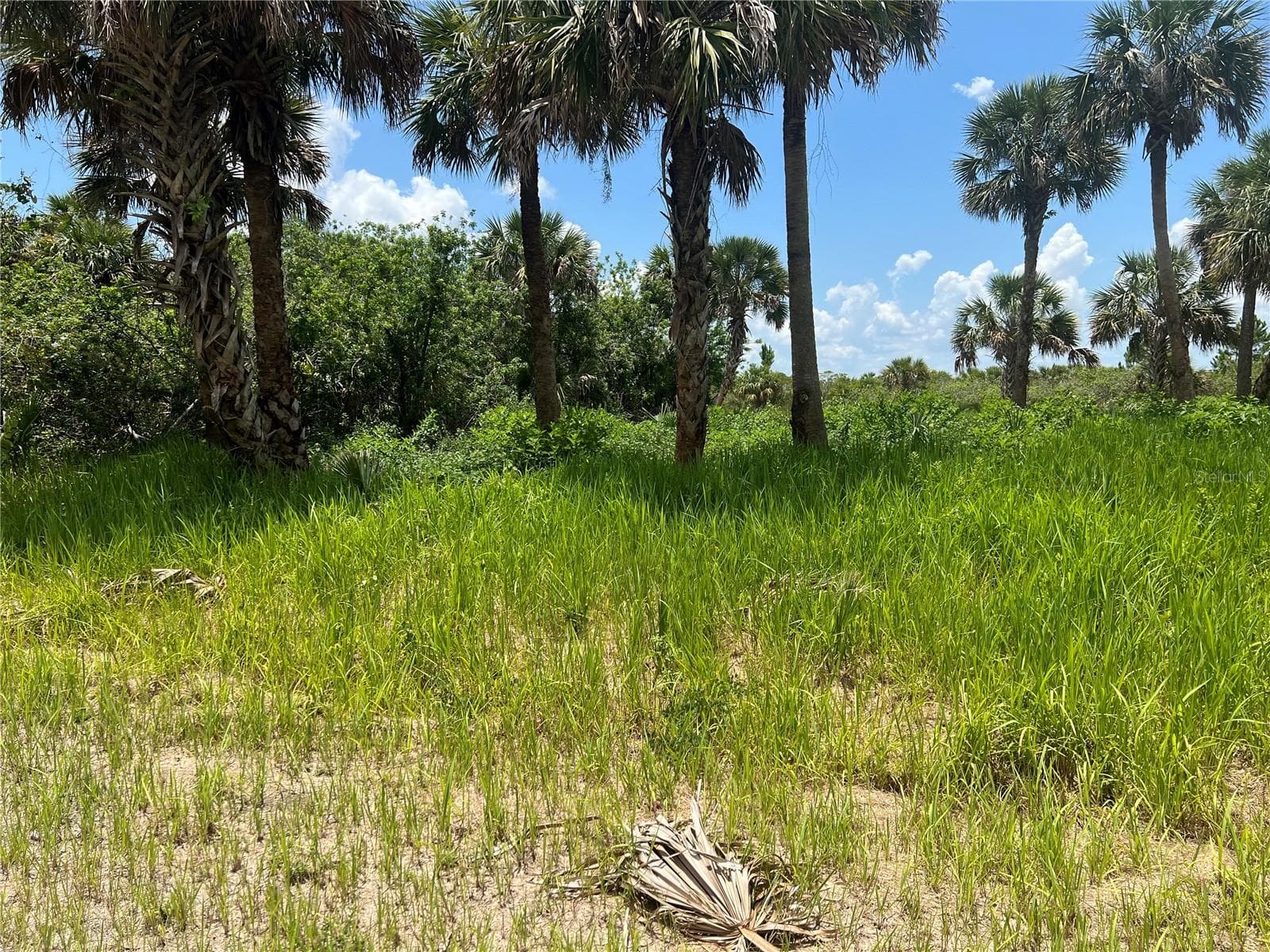 Approximate properly location - 3026 SAGE AVE SW, PALM BAY