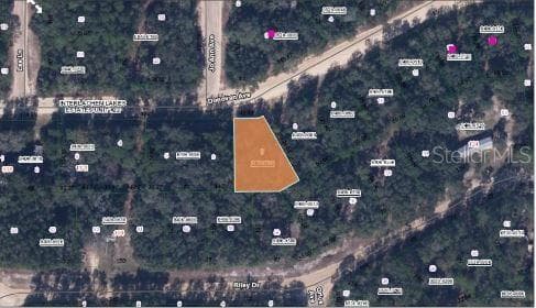 Land at RILEY DR, INTERLACHEN, photo 2 of 7