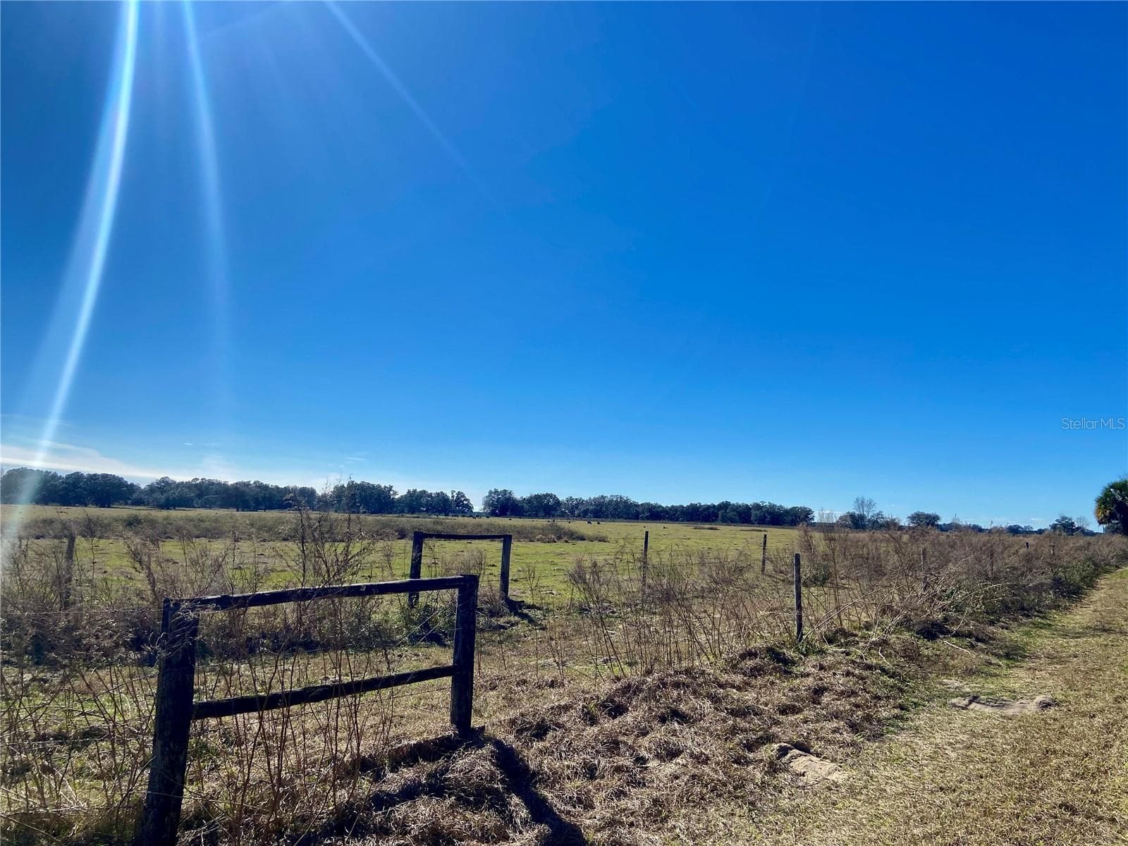 Land at 01 UNNAMED, SPRING HILL, photo 86 of 100