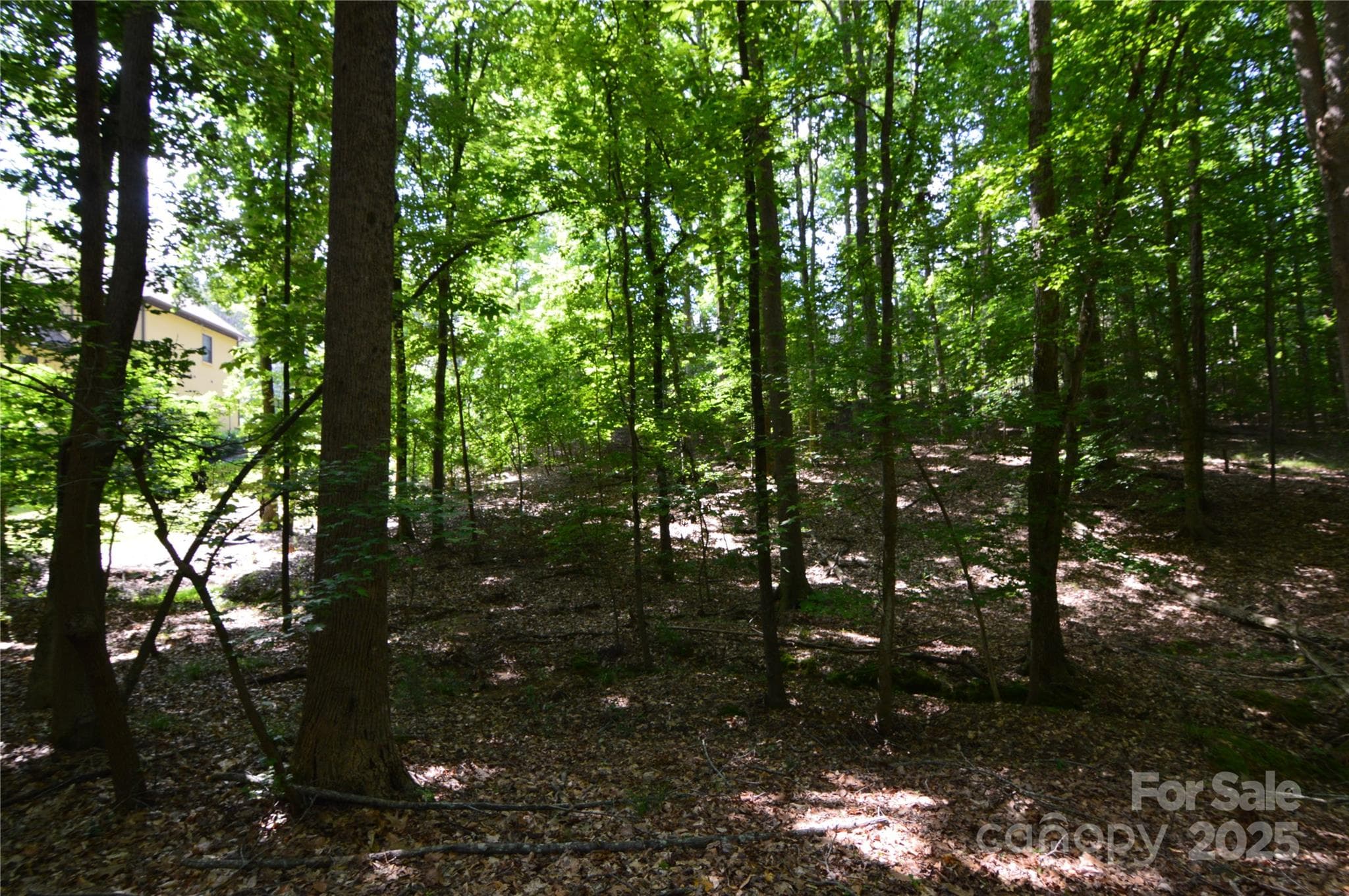 Lot at Belmont, photo 9 of 43