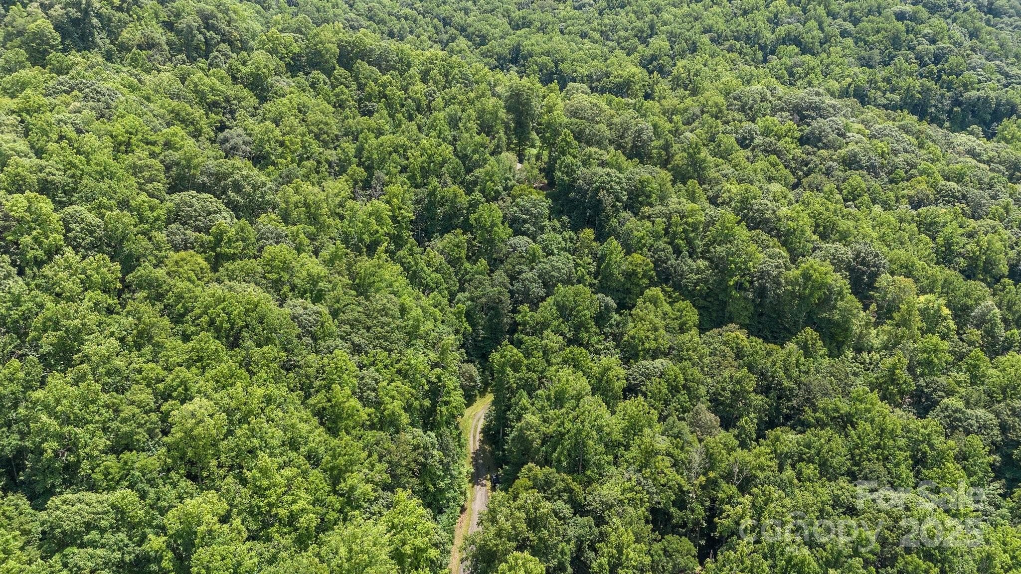 Lot 44 Aerial - #10 & 44 Poplar Path, Mars Hill