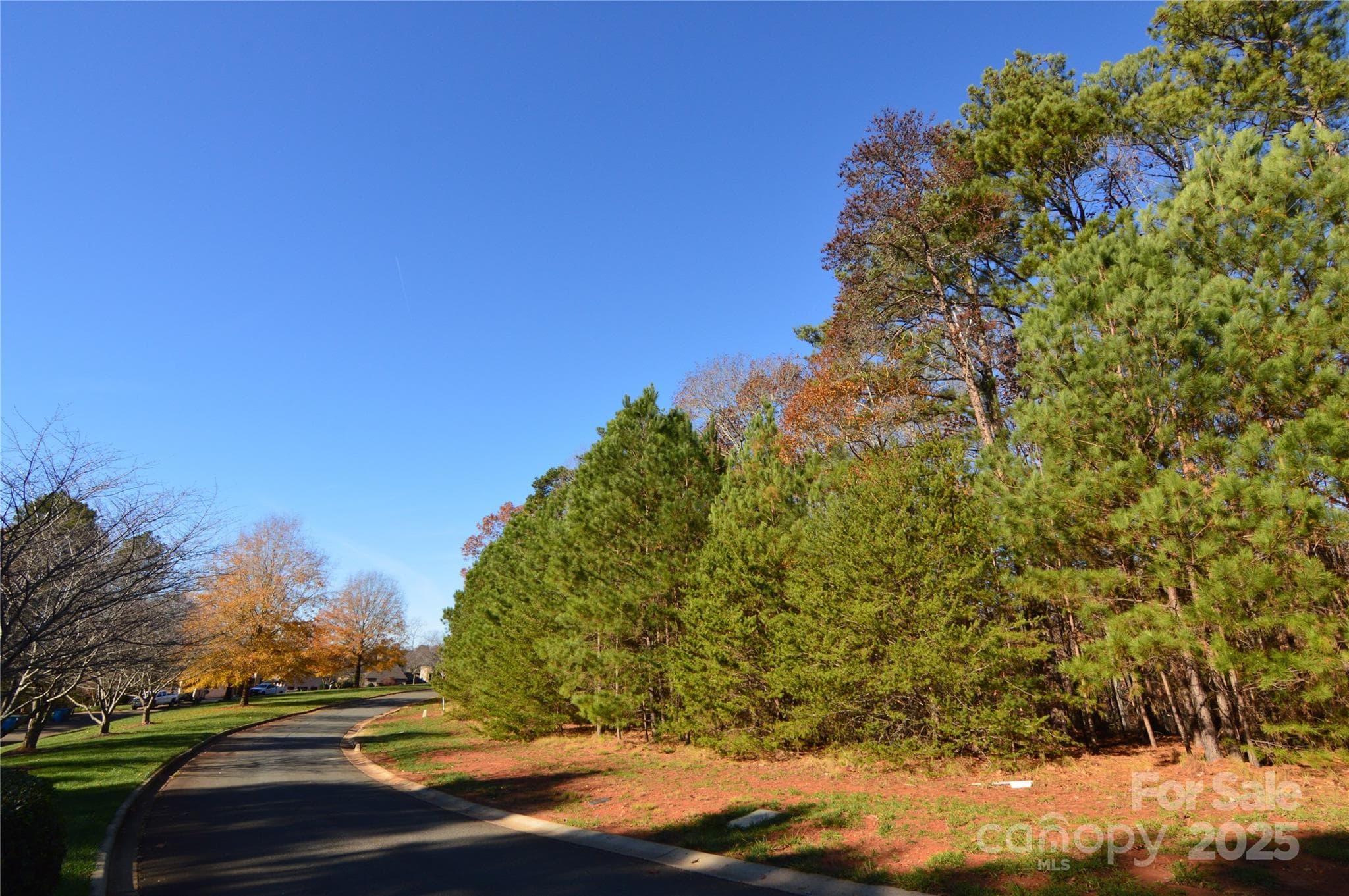 Lot at Belmont, photo 5 of 39