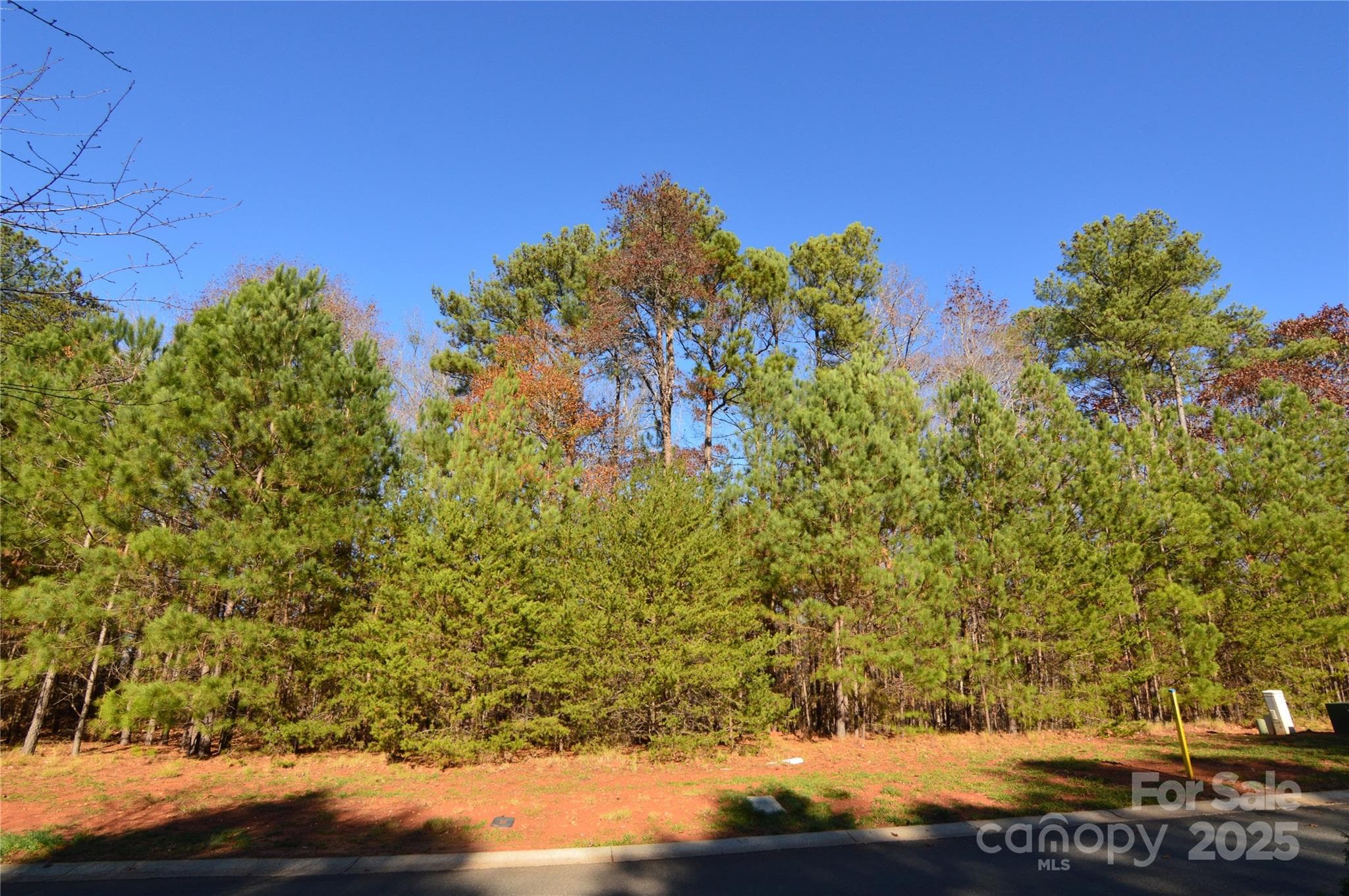 Lot at Belmont, photo 6 of 39