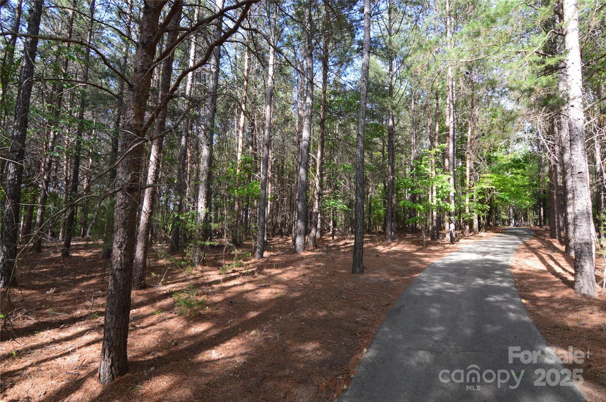 Lot at Belmont, photo 29 of 39