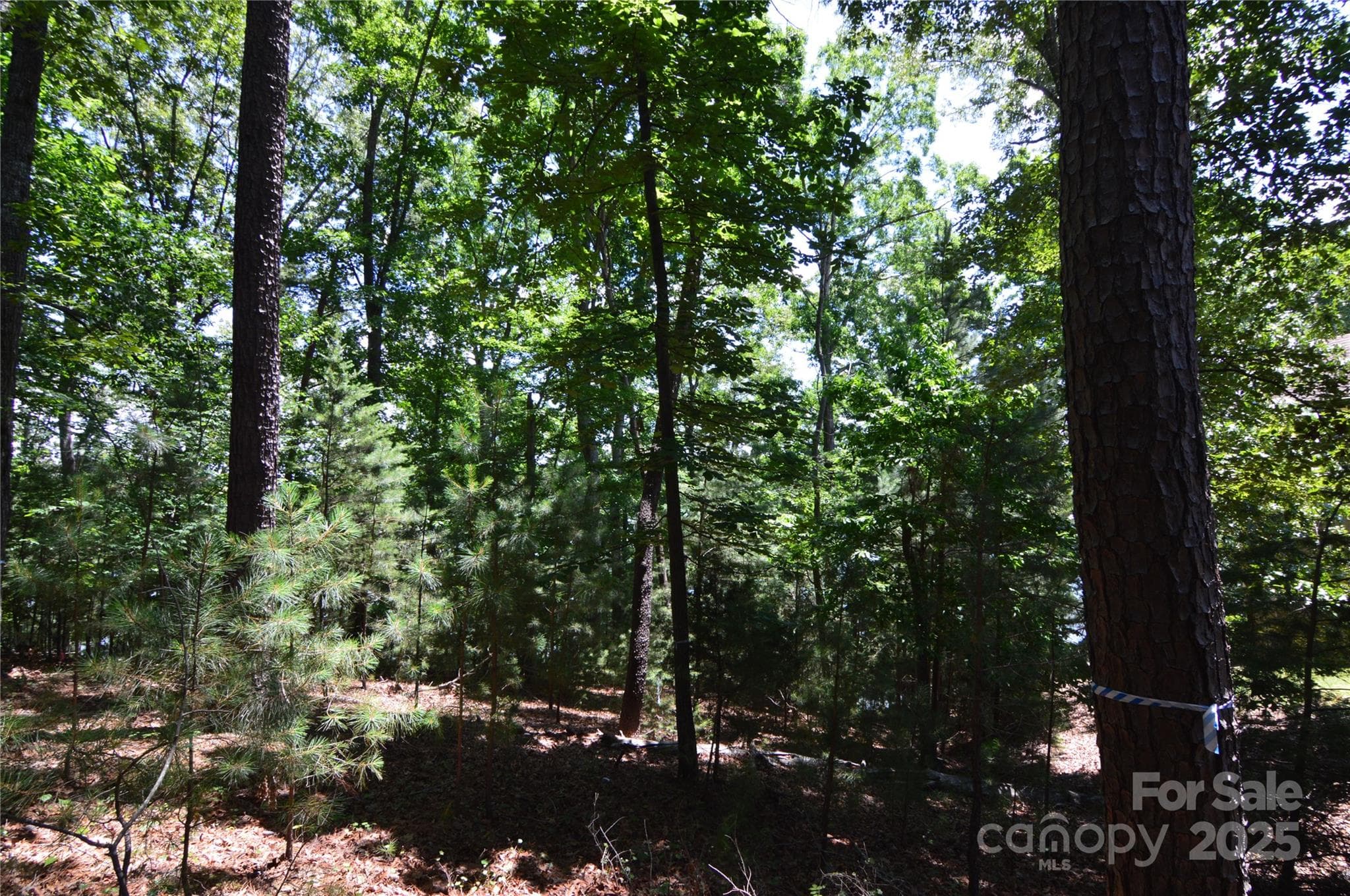 Lot at Belmont, photo 9 of 45