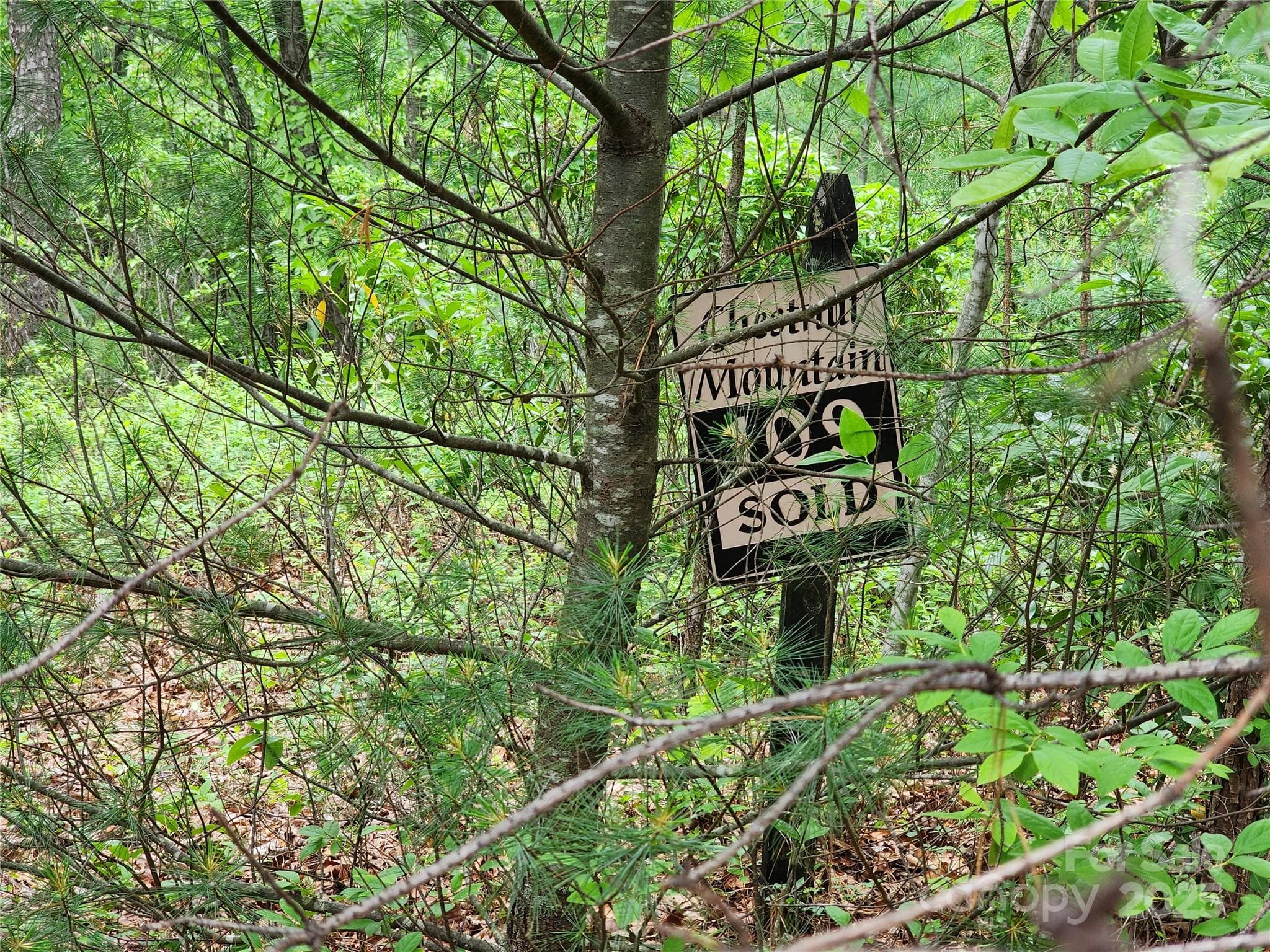 Lot at Chestnut Mountain Farms, McGrady, photo 9 of 16