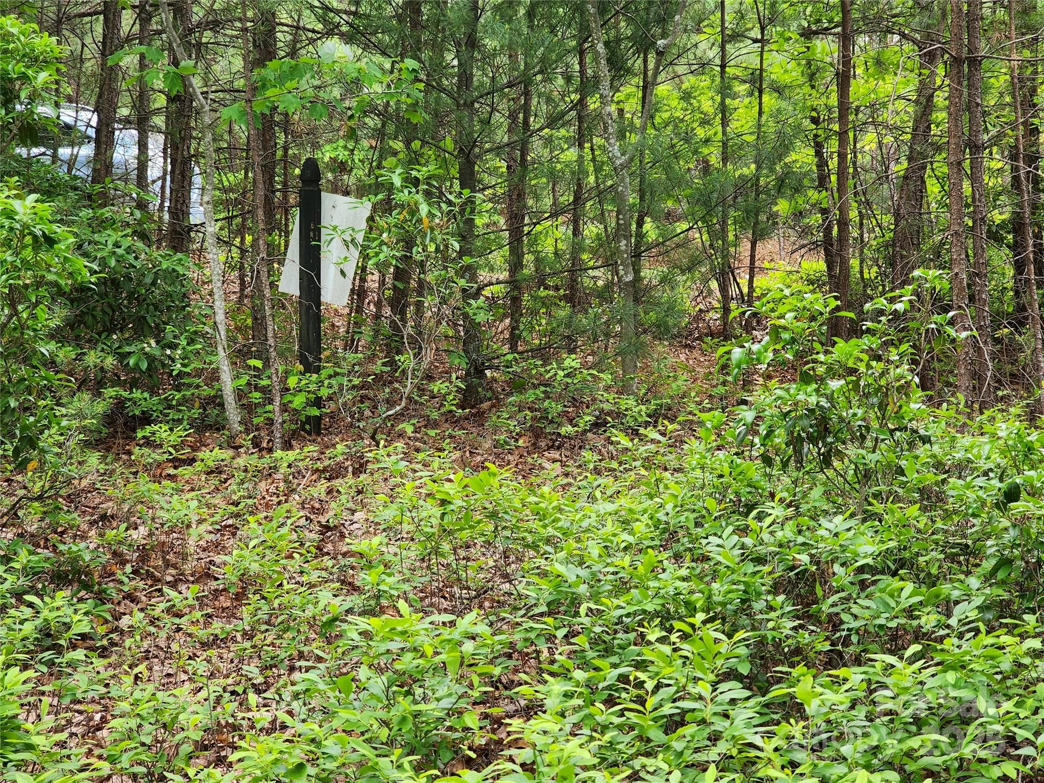 Lot at Chestnut Mountain Farms, McGrady, photo 11 of 16