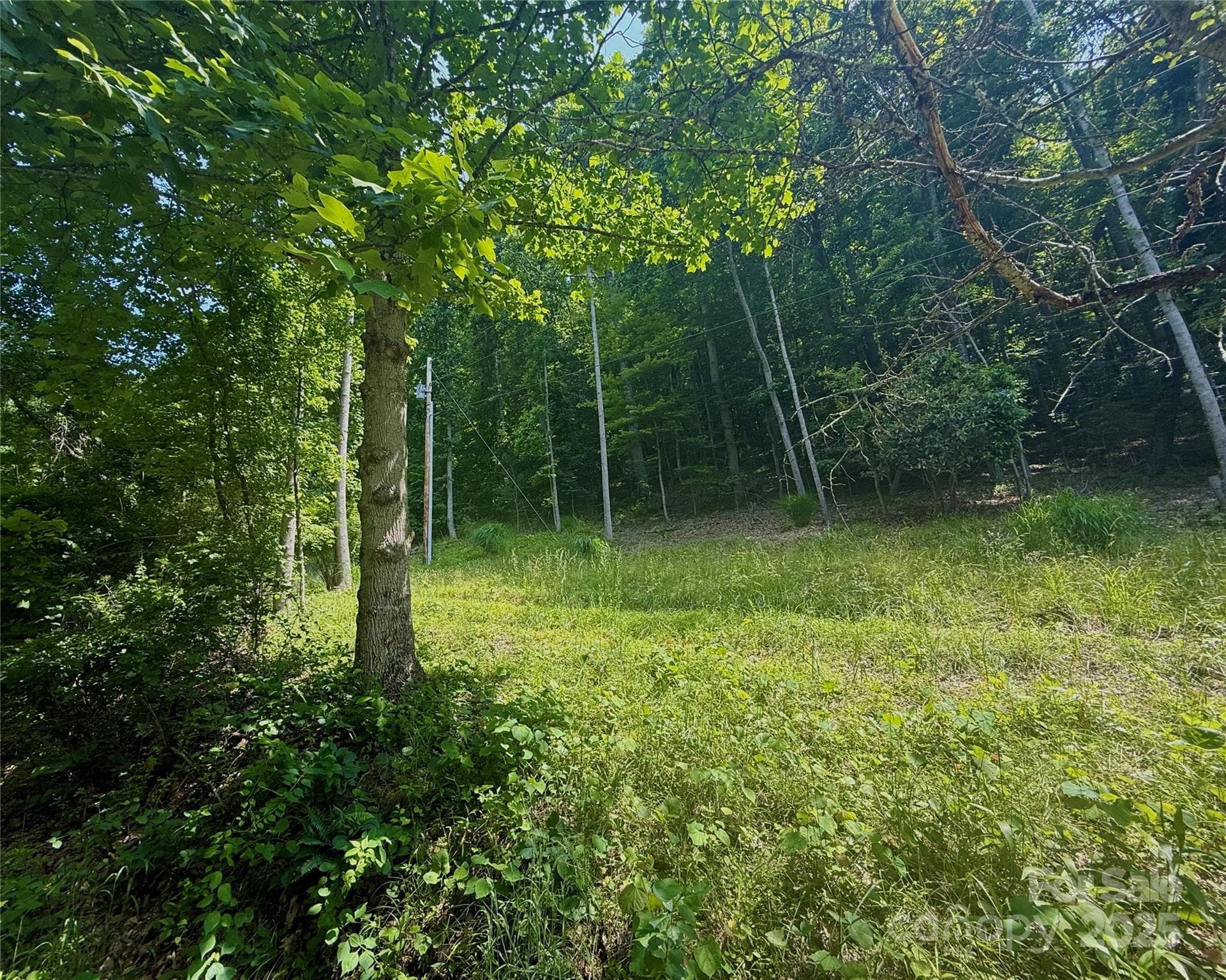 700 Wooded Mountain Trail