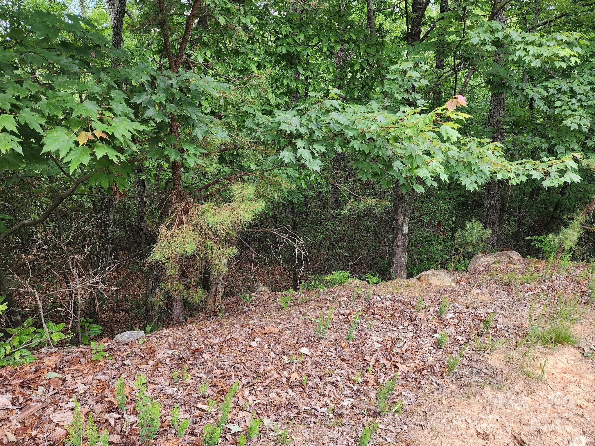 Lot at Chestnut Mountain Farms, McGrady, photo 5 of 16