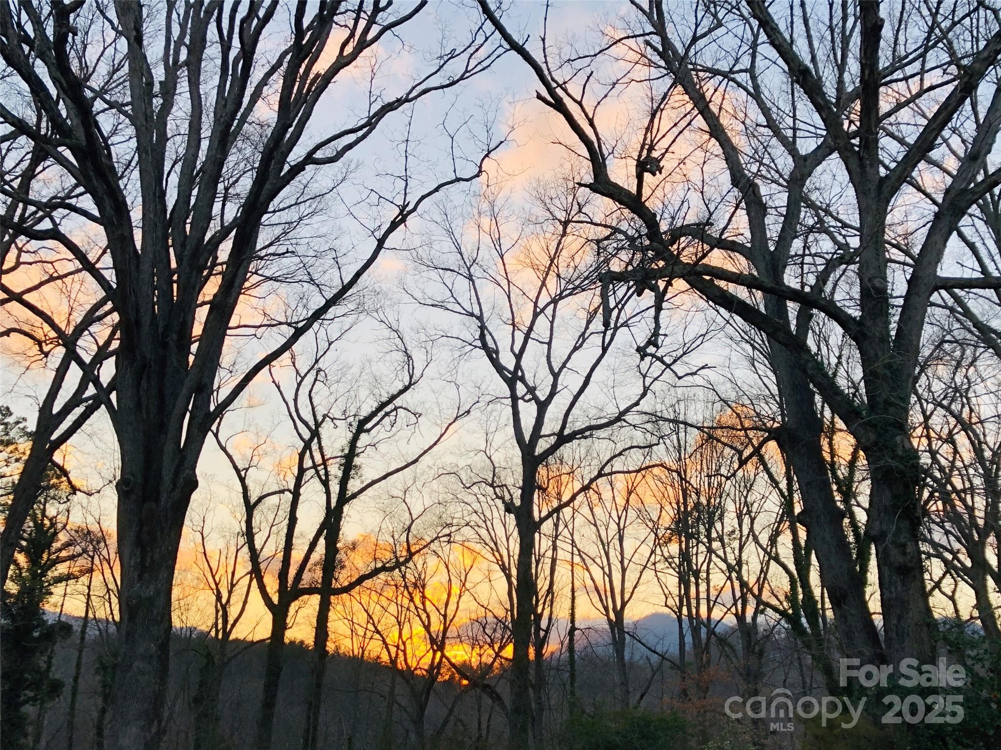 View from the property - 91 Ford Ridge Lane, Columbus