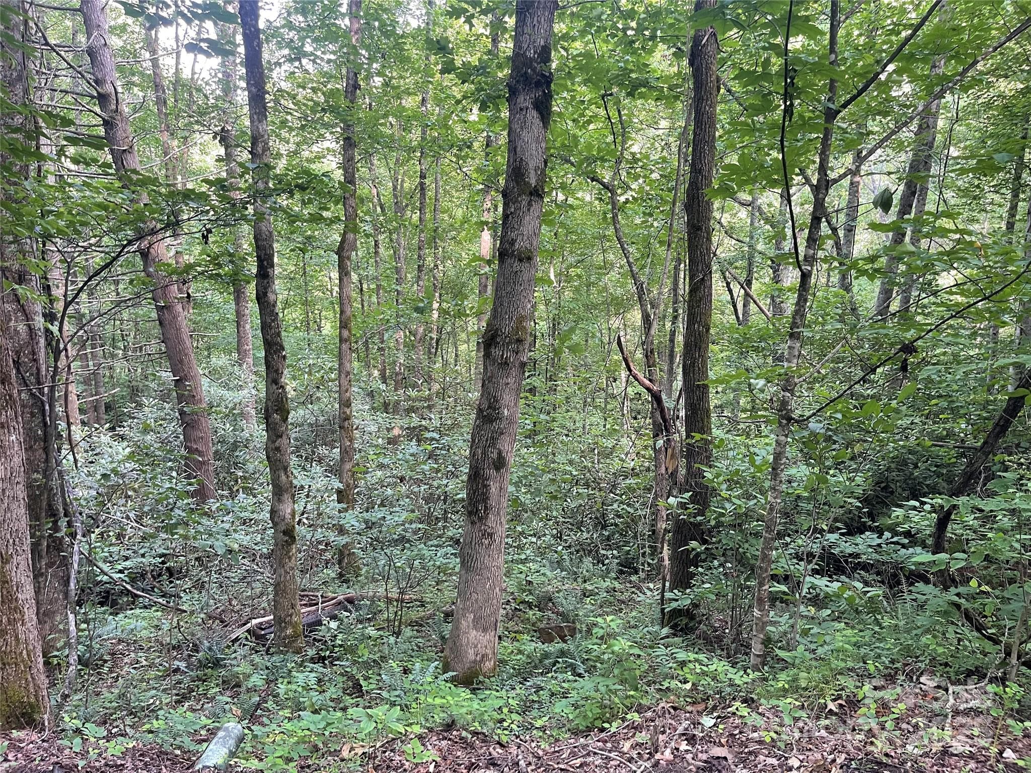 Acreage at 2600 Canada Road, Tuckasegee, photo 9 of 9