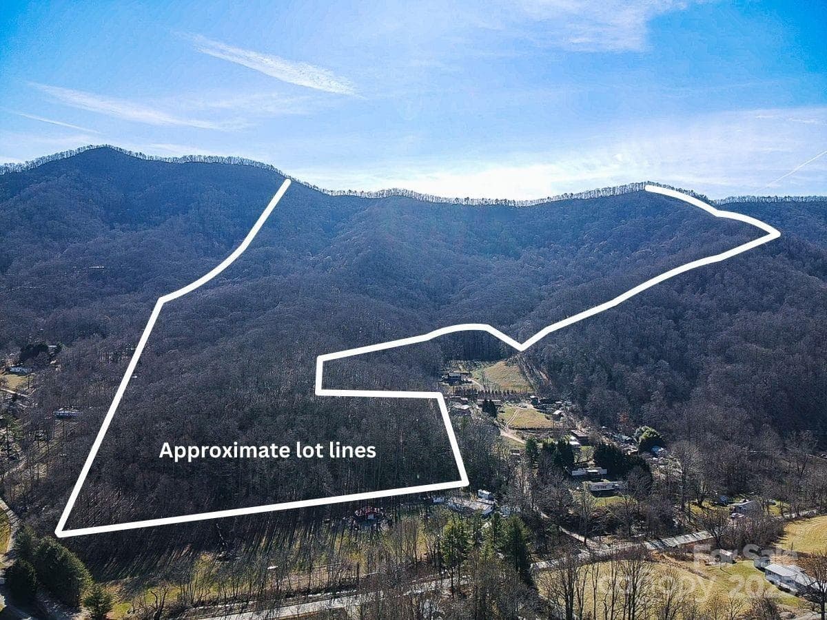 Acreage at 99999 Dark Cove Road, Leicester, photo 3 of 15