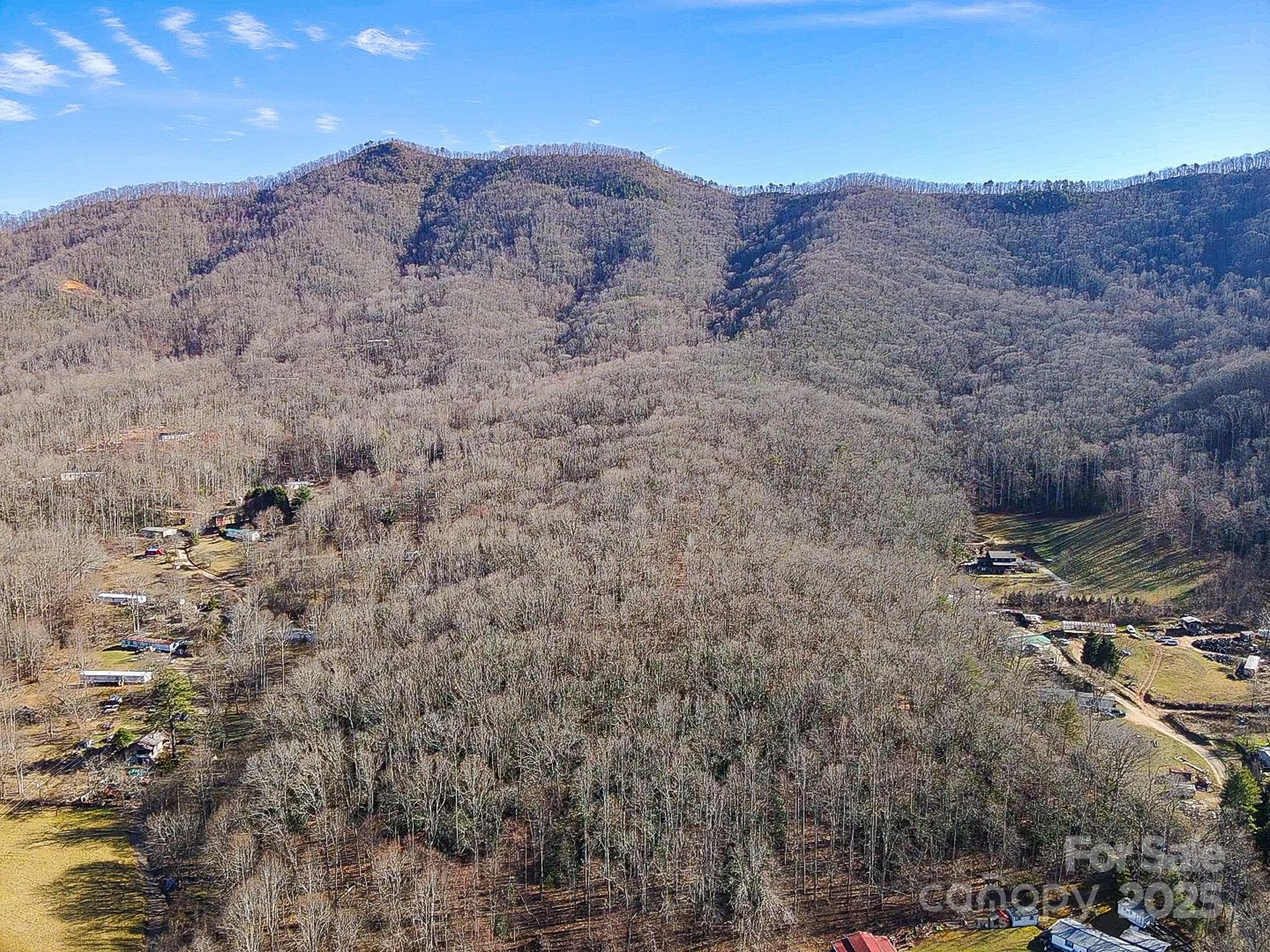 Acreage at 99999 Dark Cove Road, Leicester, photo 4 of 15