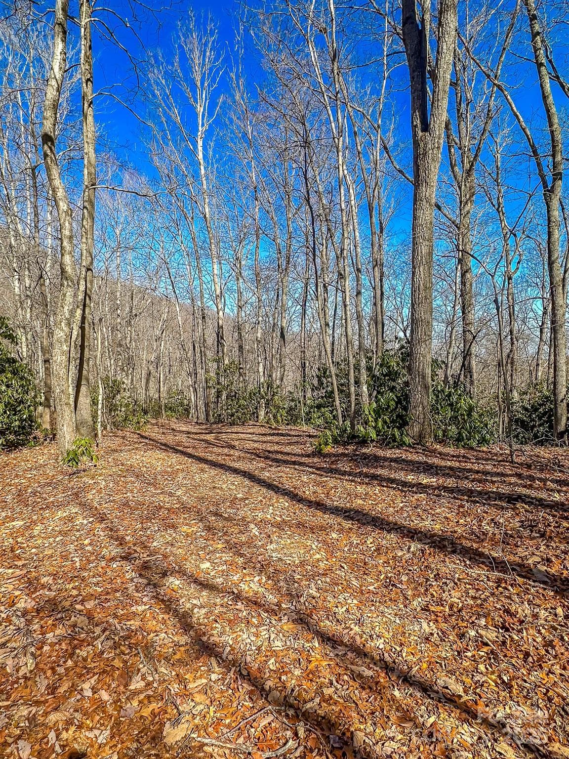 Acreage at 99999 Dark Cove Road, Leicester, photo 13 of 15