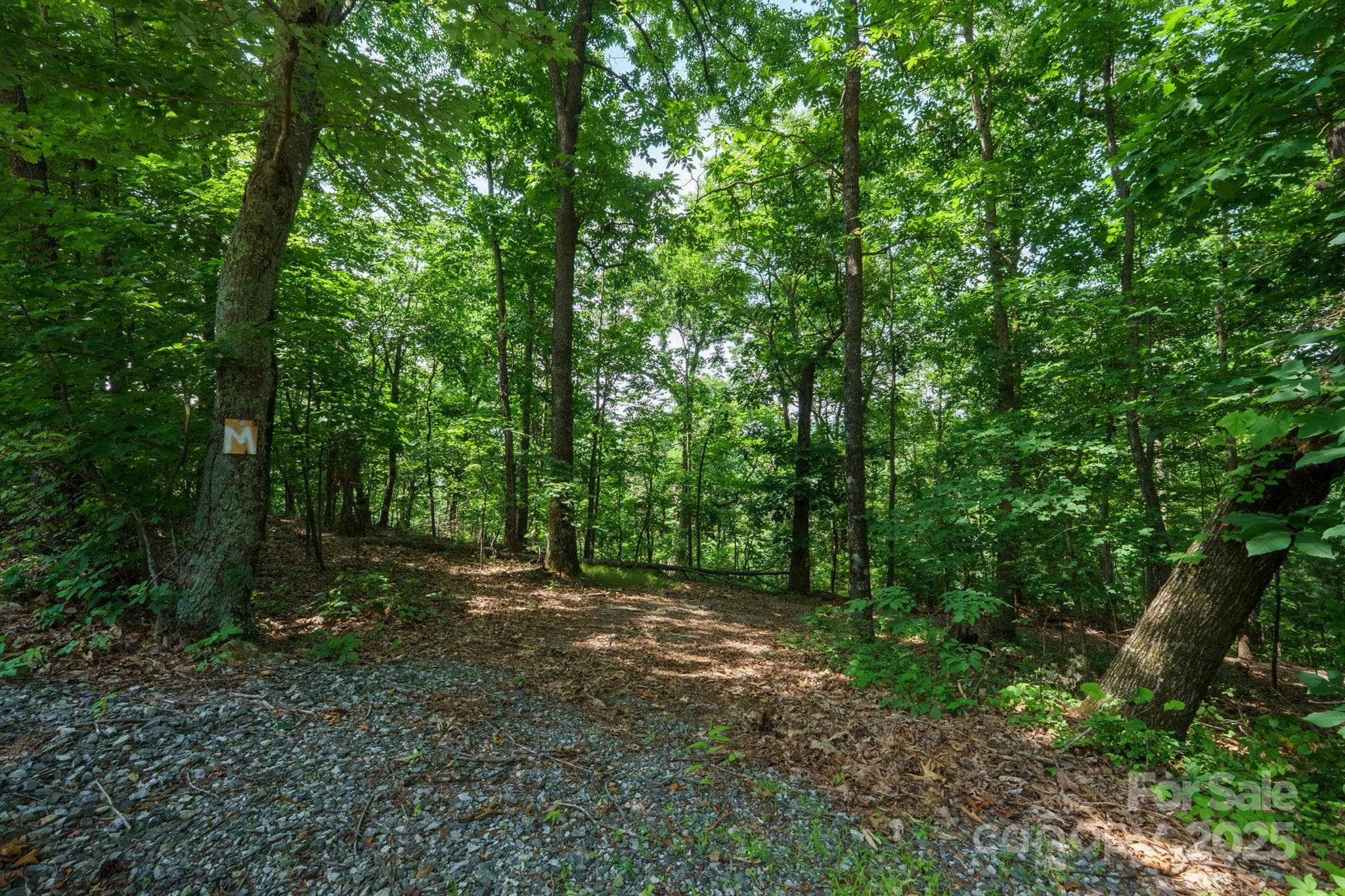 00 Hendren Road