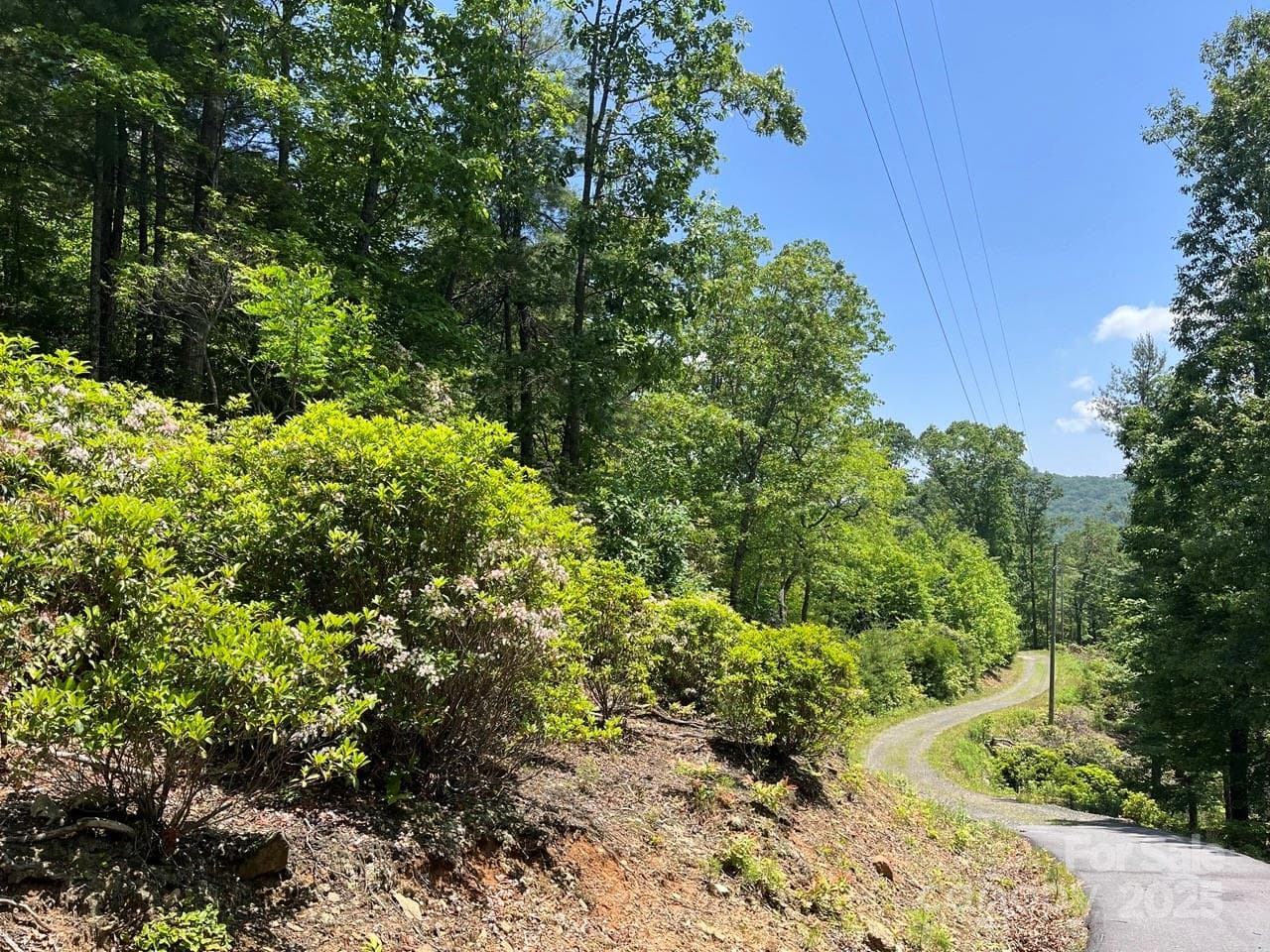 Lot at 0000 Humpback Mountain Road, Spruce Pine, photo 4 of 25