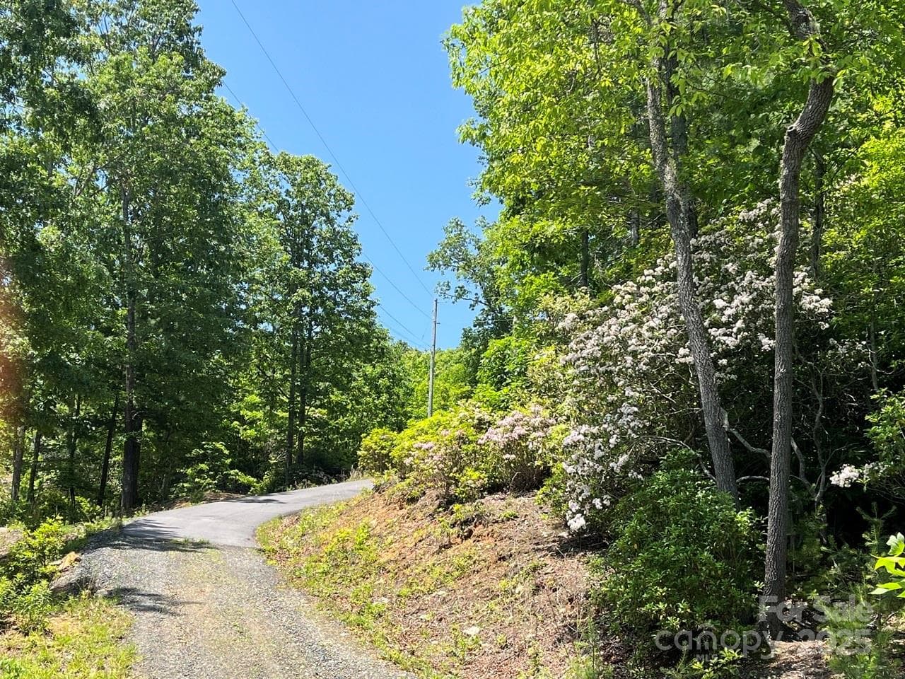 Lot at 0000 Humpback Mountain Road, Spruce Pine, photo 6 of 25