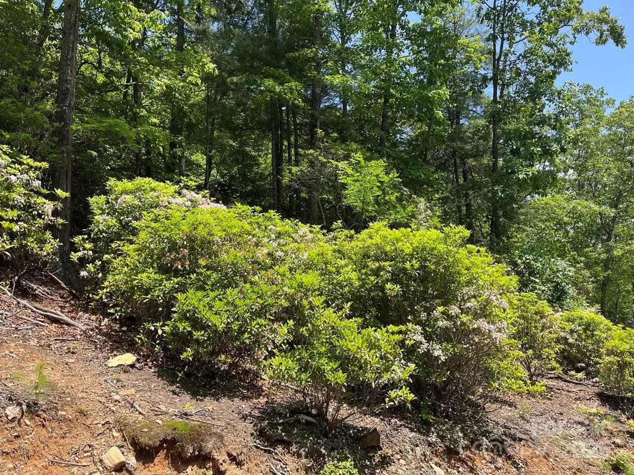 Lot at 0000 Humpback Mountain Road, Spruce Pine, photo 7 of 25