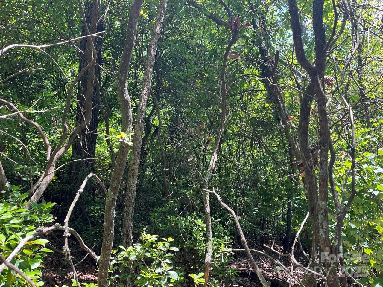 Lot at 0000 Humpback Mountain Road, Spruce Pine, photo 10 of 25