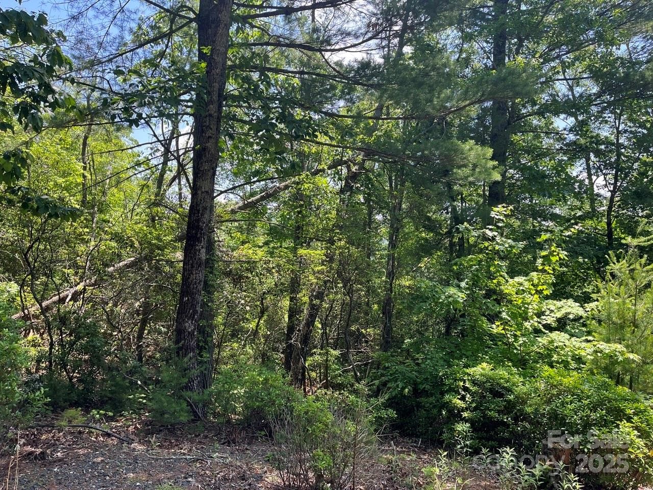 Lot at 0000 Humpback Mountain Road, Spruce Pine, photo 12 of 25
