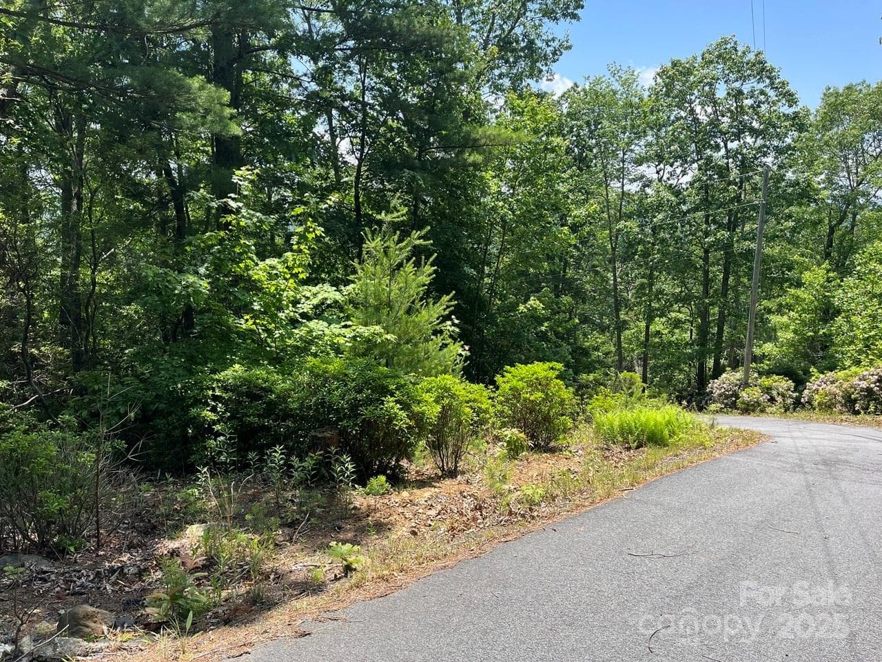 Lot at 0000 Humpback Mountain Road, Spruce Pine, photo 13 of 25