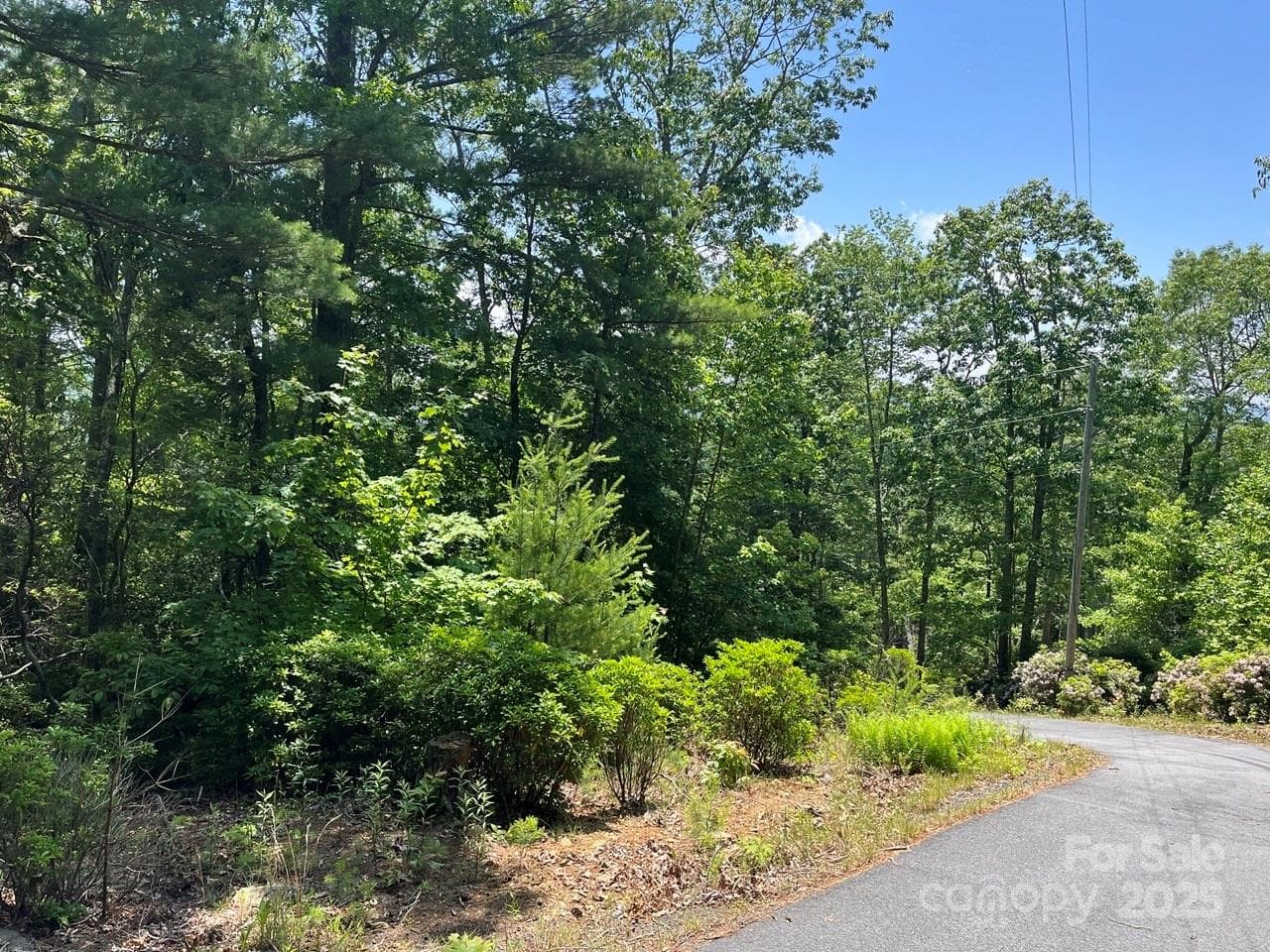 Lot at 0000 Humpback Mountain Road, Spruce Pine, photo 14 of 25