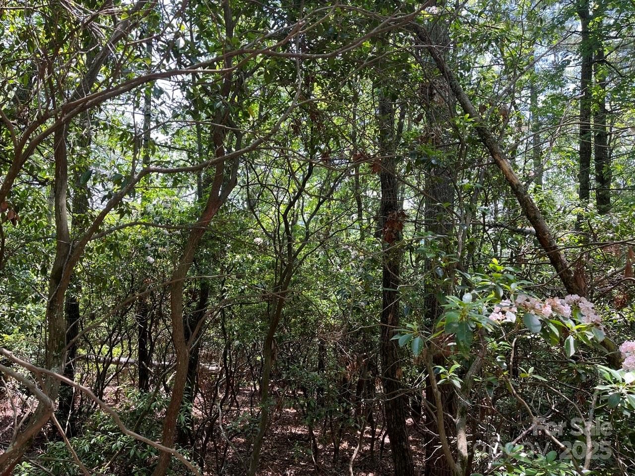 Lot at 0000 Humpback Mountain Road, Spruce Pine, photo 16 of 25