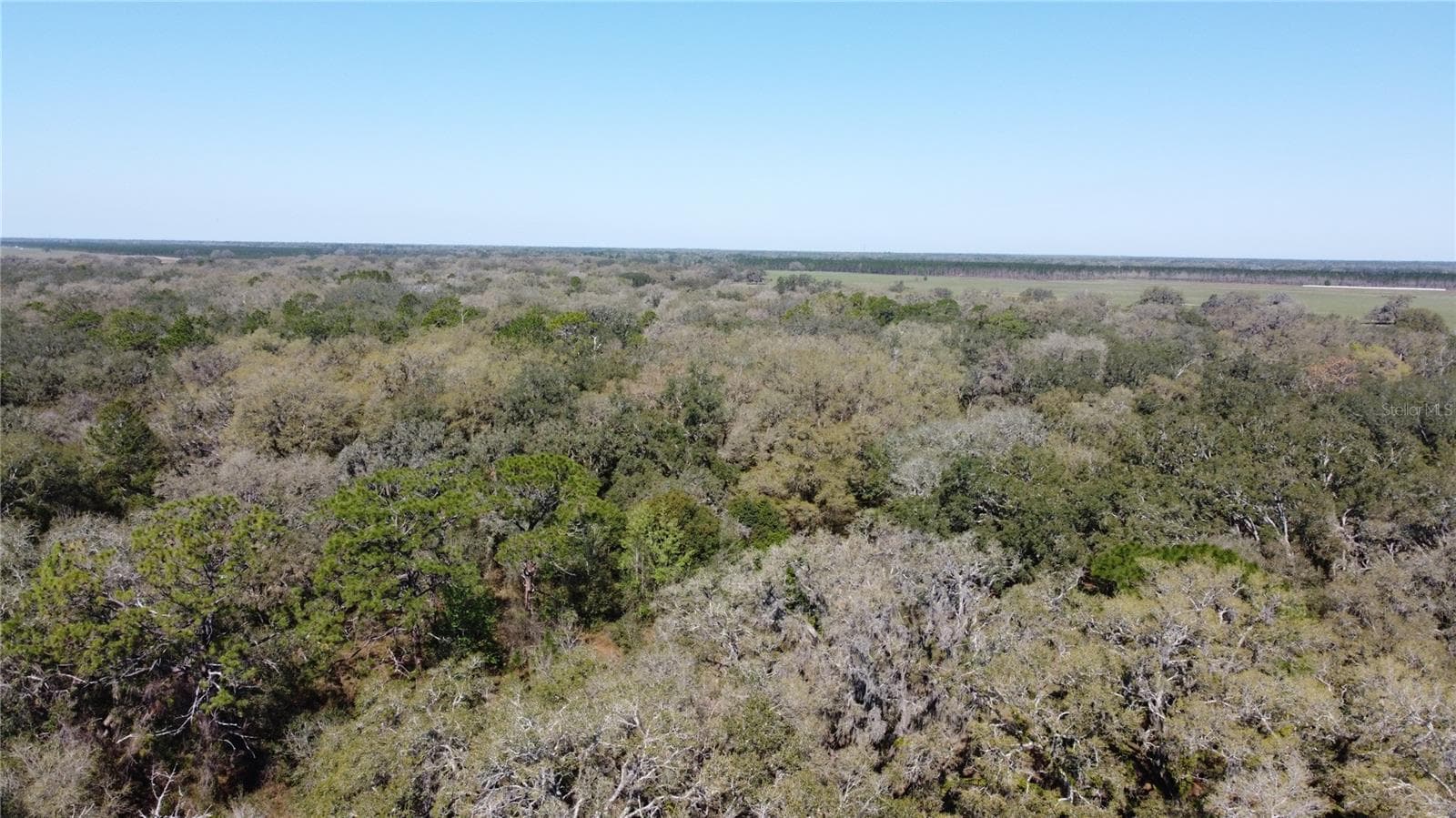 Land at 01 UNNAMED, SPRING HILL, photo 14 of 100
