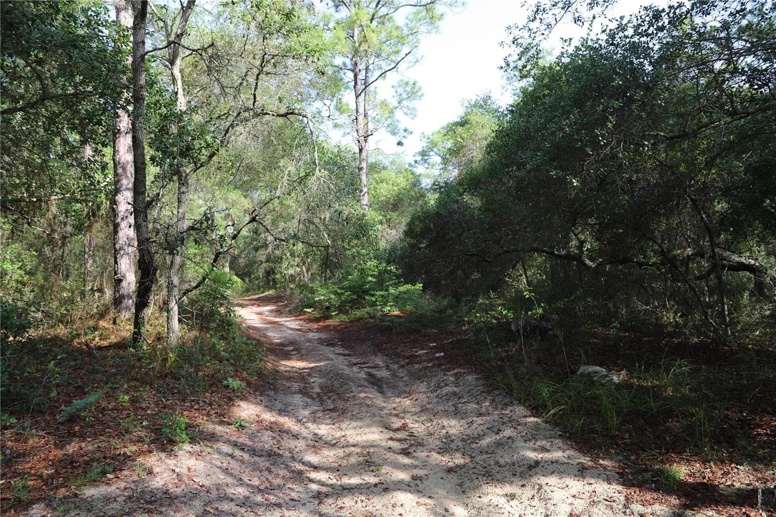 Land at 00 STATE ROAD 100, KEYSTONE HEIGHTS, photo 6 of 6