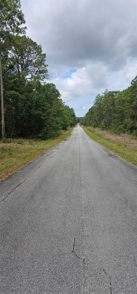 Land at 0 NW ASPEN LN, DUNNELLON, photo 3 of 5