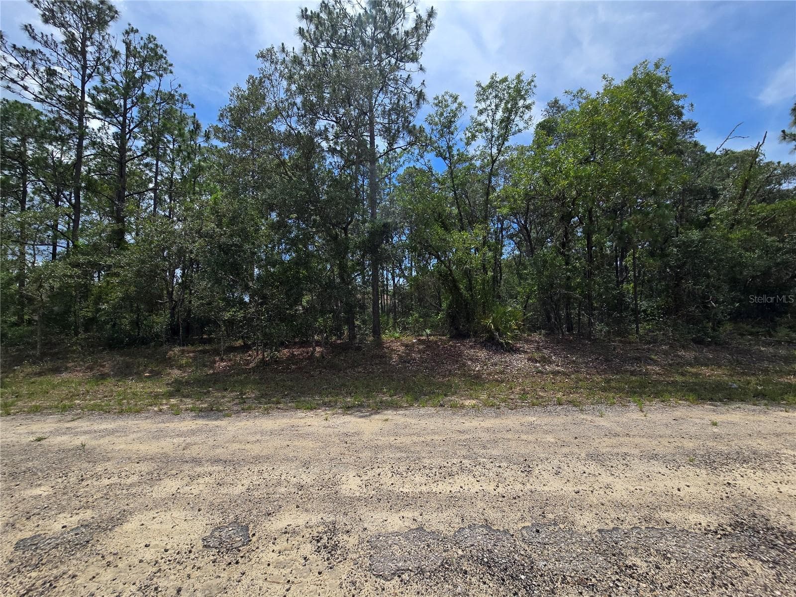 Land at 6468 N BAYLOR TER, DUNNELLON, photo 3 of 9