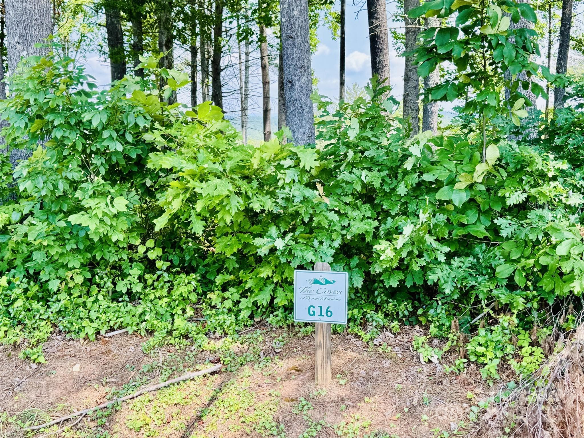Lot at Lenoir, photo 5 of 44