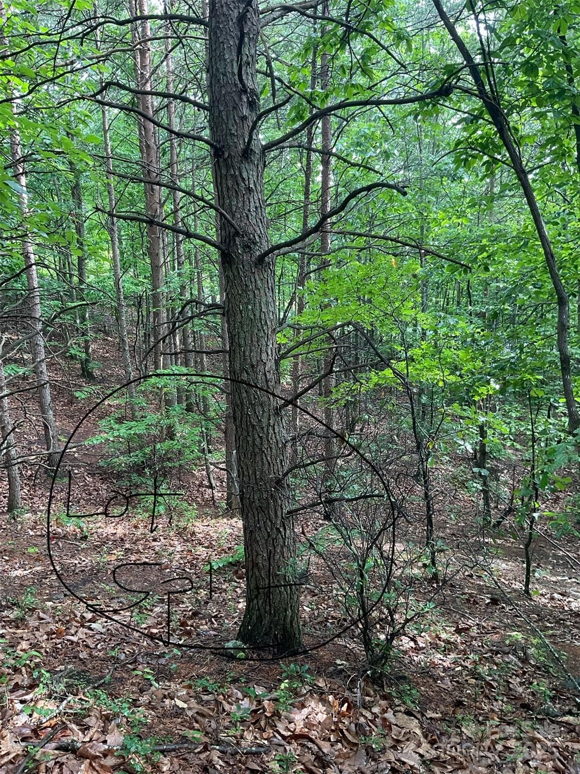 Lot at Hickory, photo 24 of 44