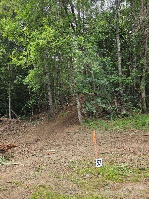 Lot at Mars Hill, photo 2 of 15