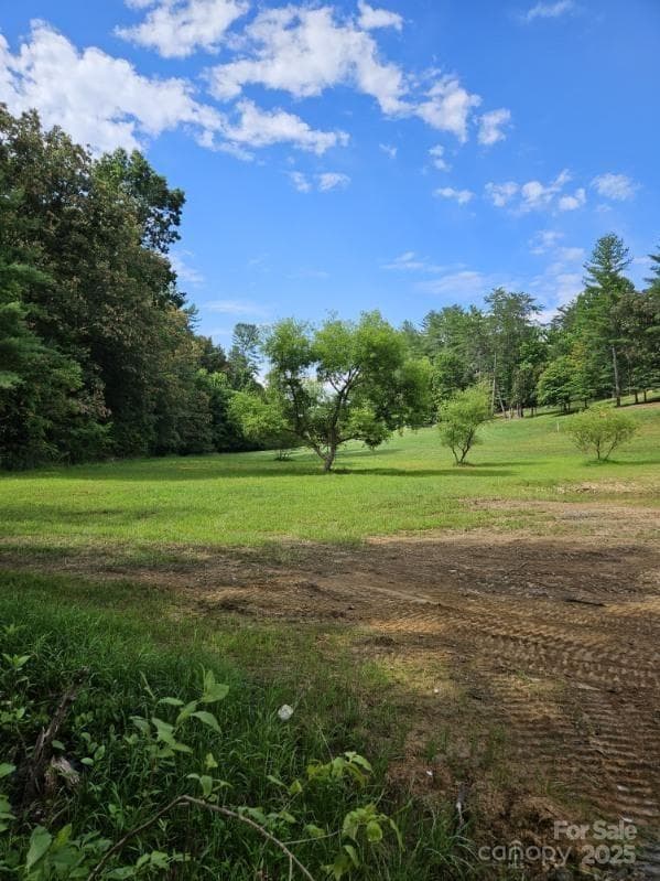 Lot at Mars Hill, photo 8 of 21