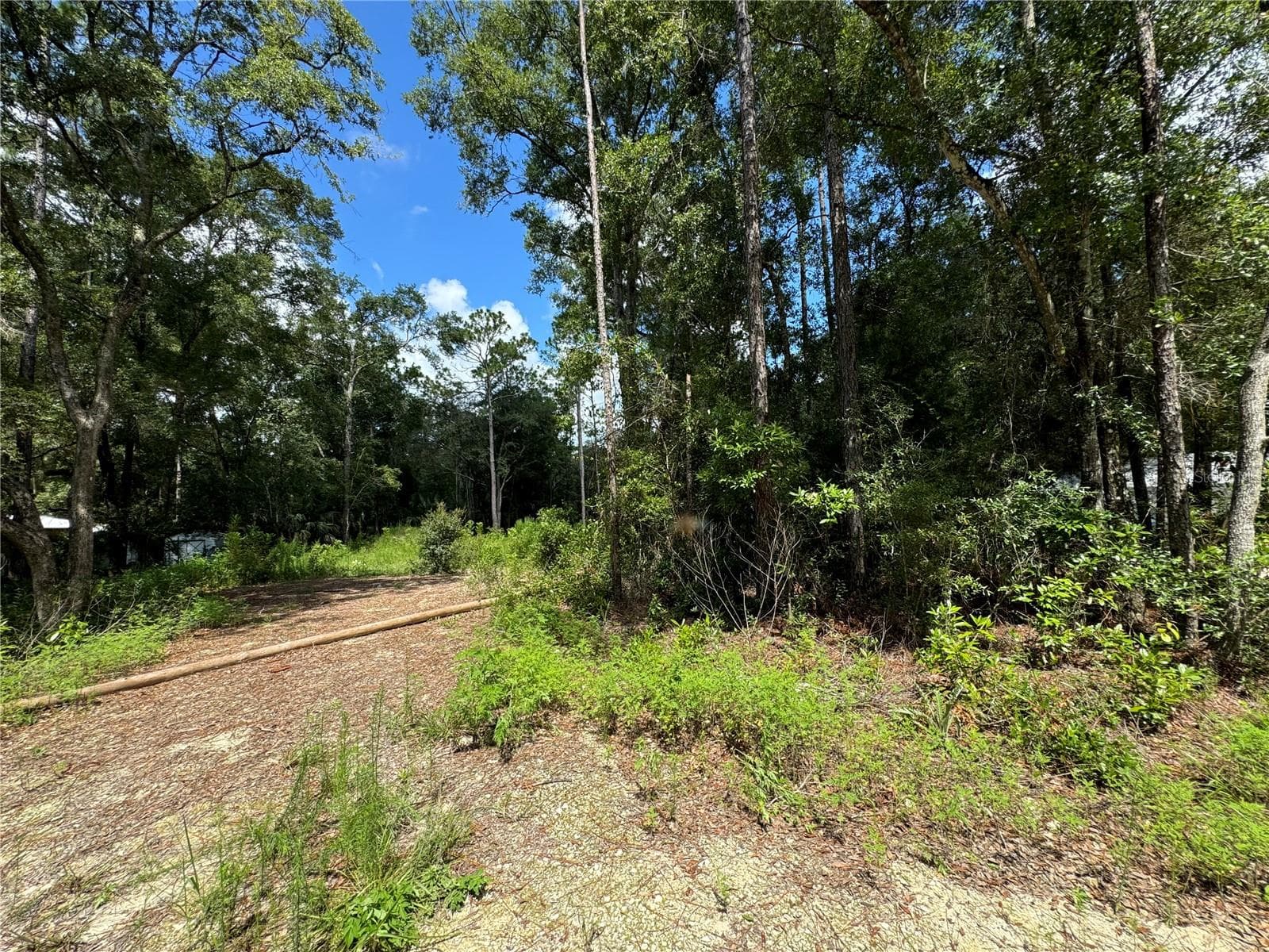 View from NW 97th Ct. This is the lot that runs from NW 58th Place to NW 59th St 200' wide road to road - NW 58TH PL, CHIEFLAND