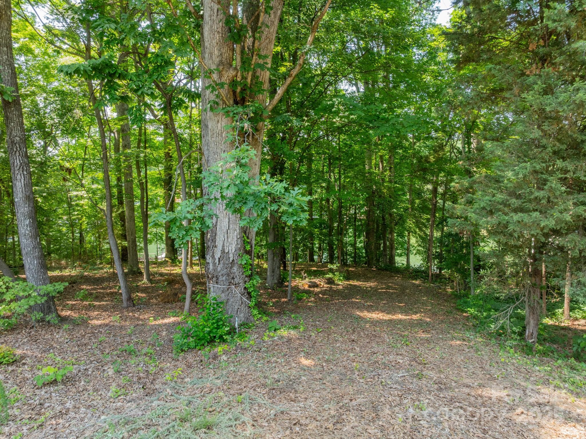 Lot at Mooresville, photo 11 of 11