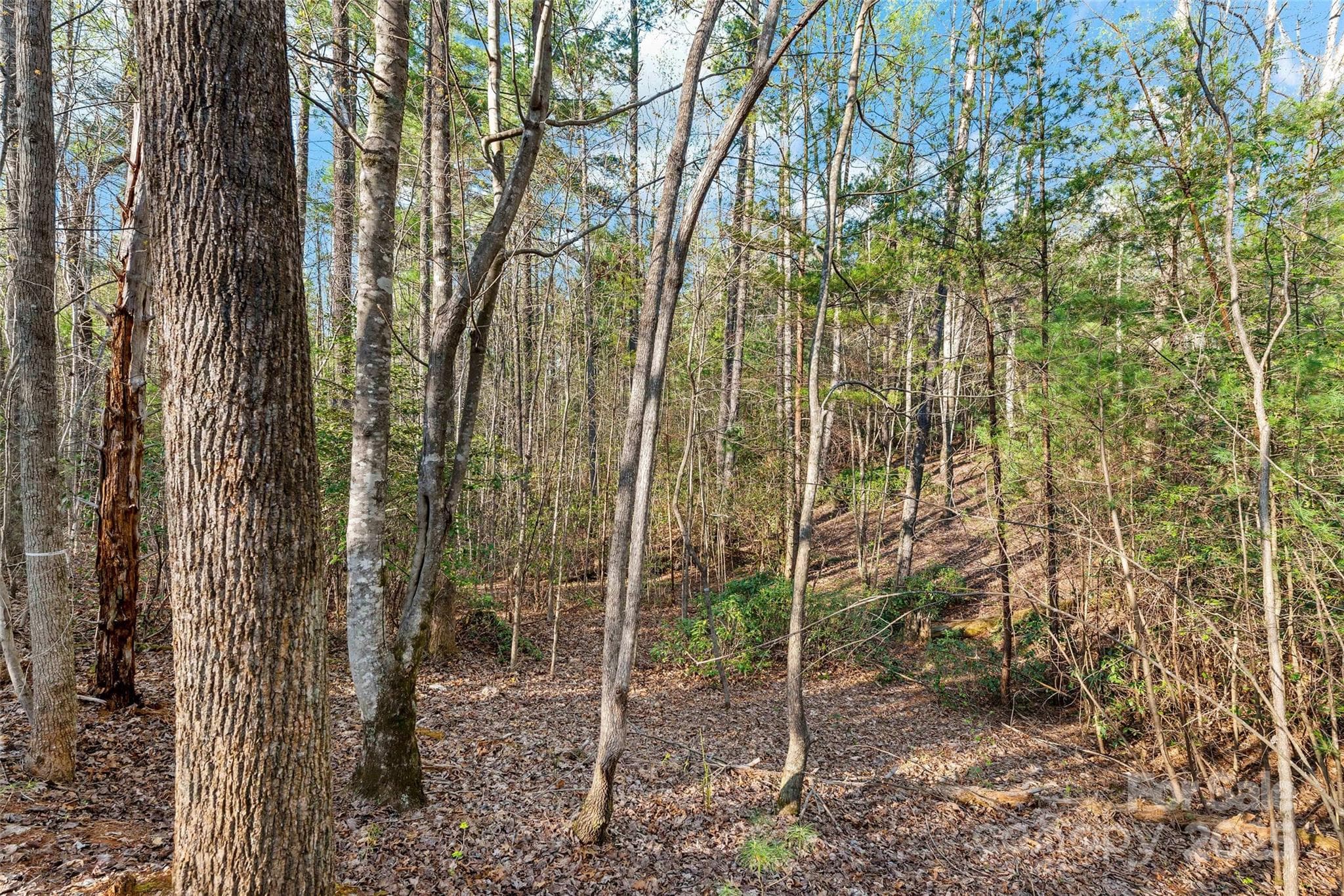 Lot at Nebo, photo 10 of 17