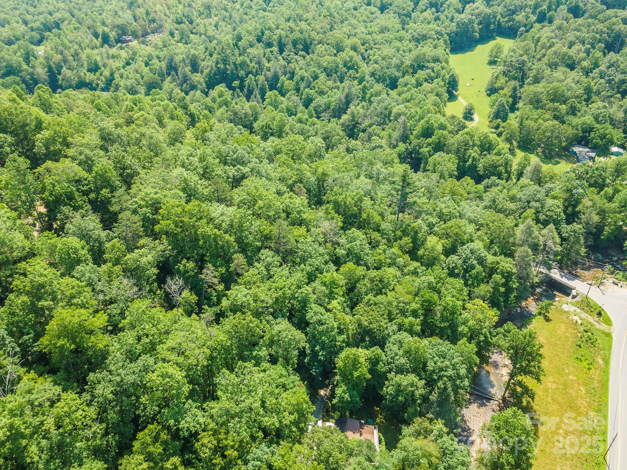 Acreage at Black Mountain, photo 6 of 11