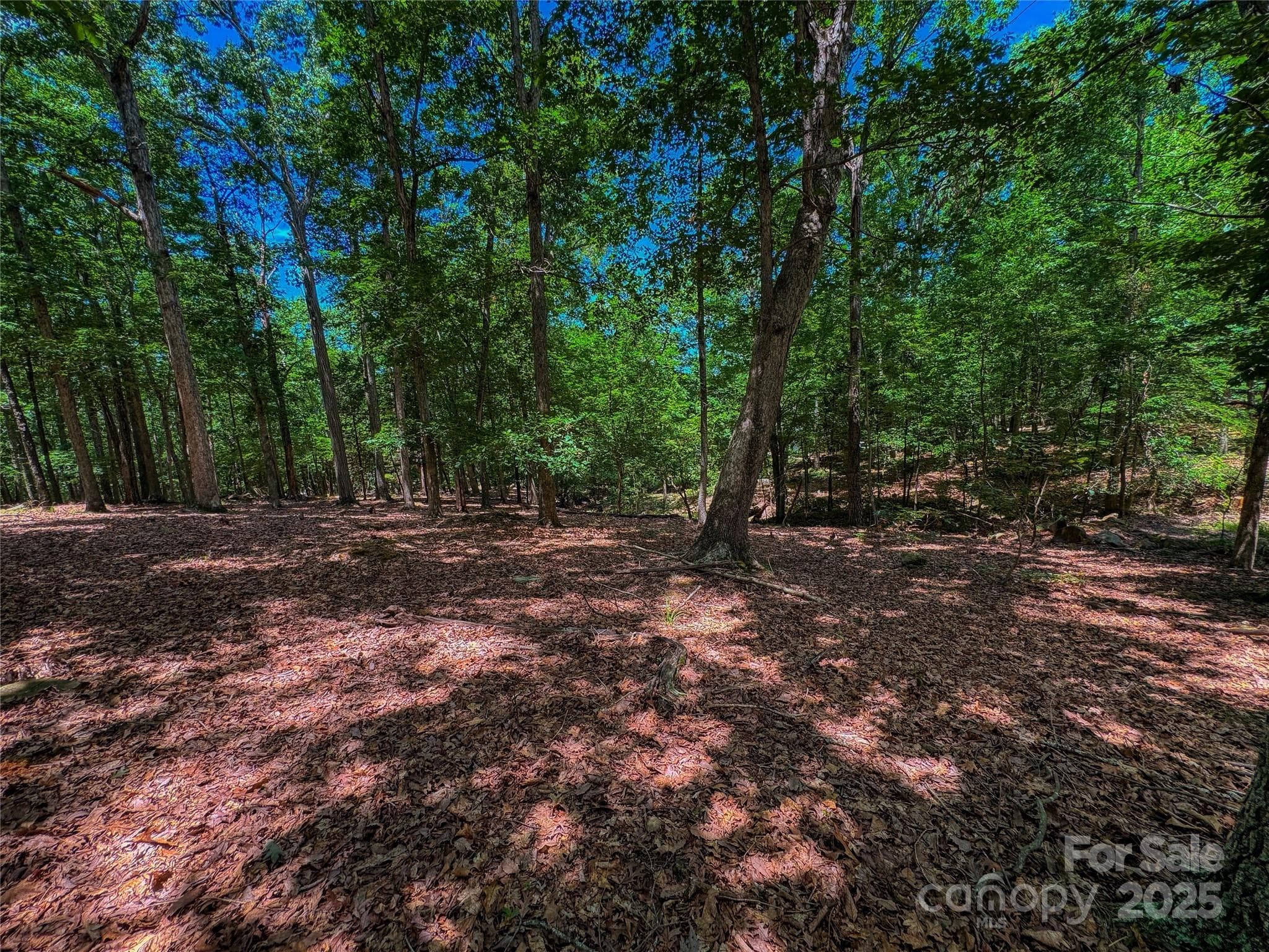 1560 Rocky Cove Lane