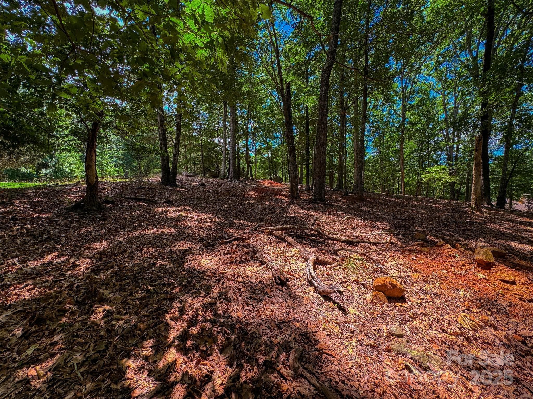 Lot at 1560 Rocky Cove Lane, Denton, photo 3 of 28