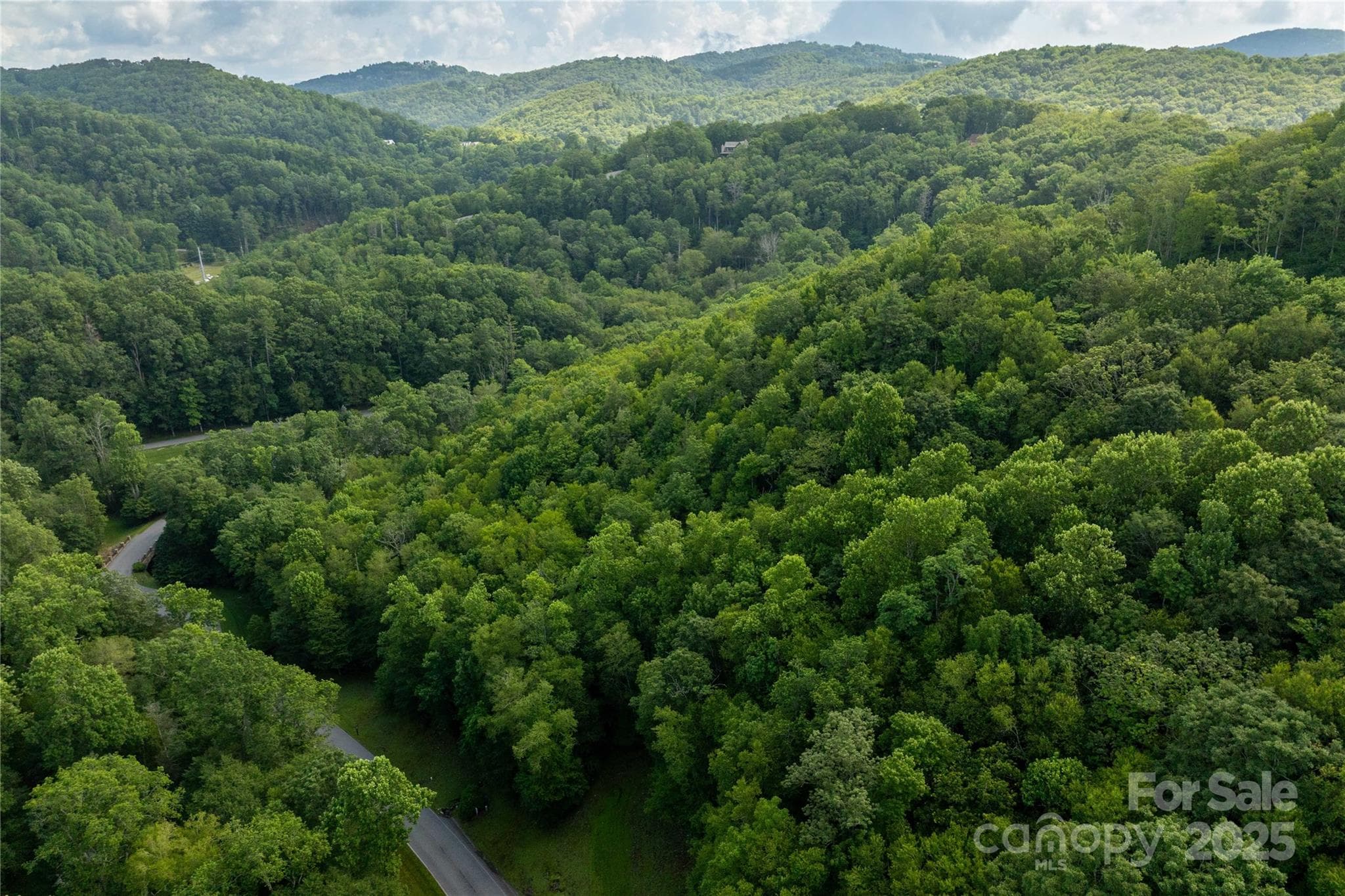 Lot 106 - TBD Lot 106 Firethorn Trail, Blowing Rock
