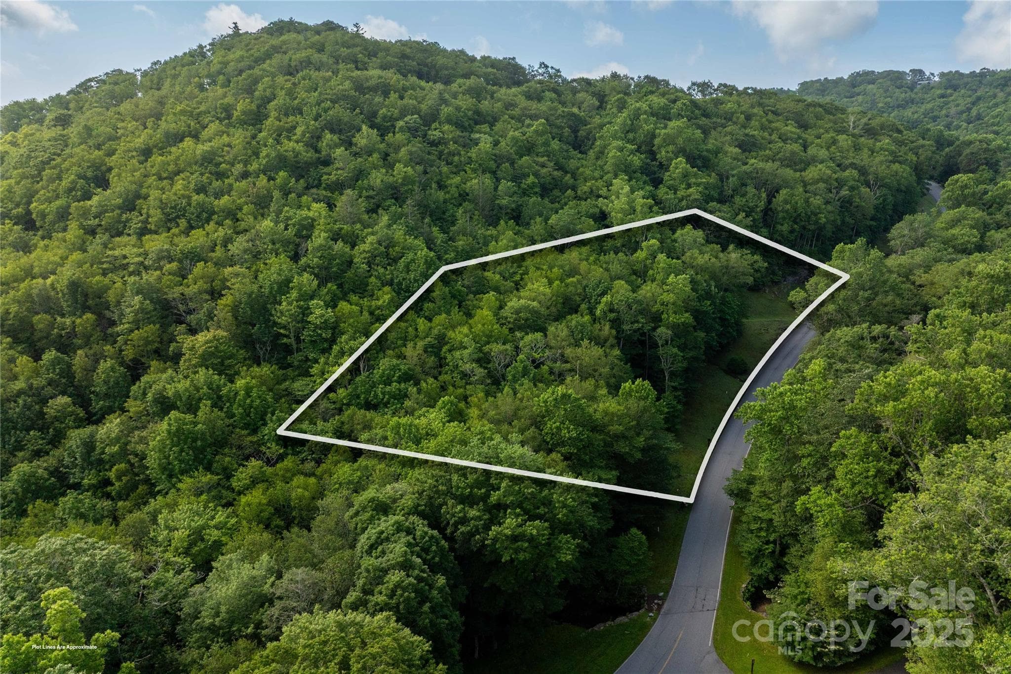 Lot 106 - TBD Lot 106 Firethorn Trail, Blowing Rock