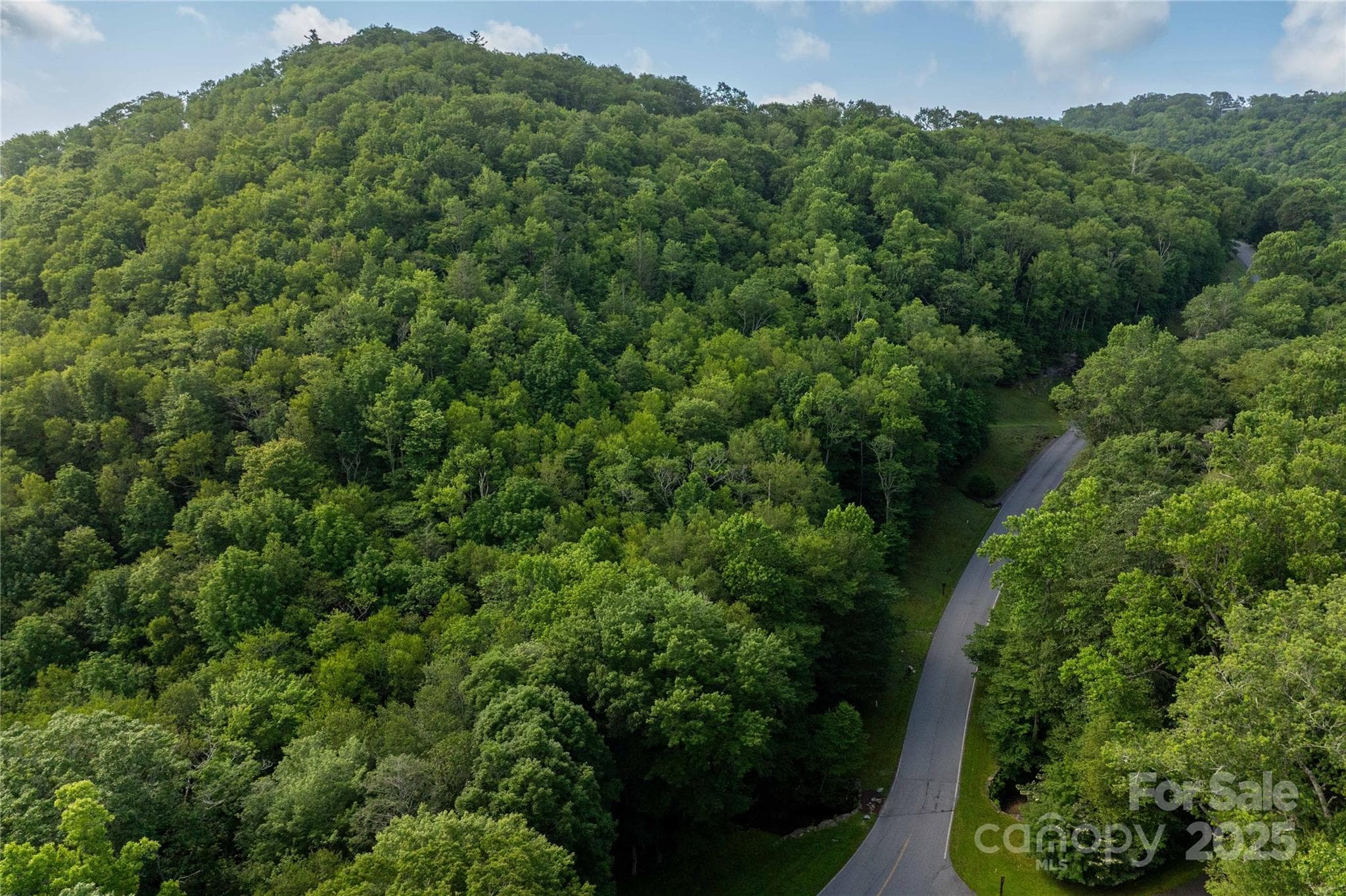 Lot 106 - TBD Lot 106 Firethorn Trail, Blowing Rock