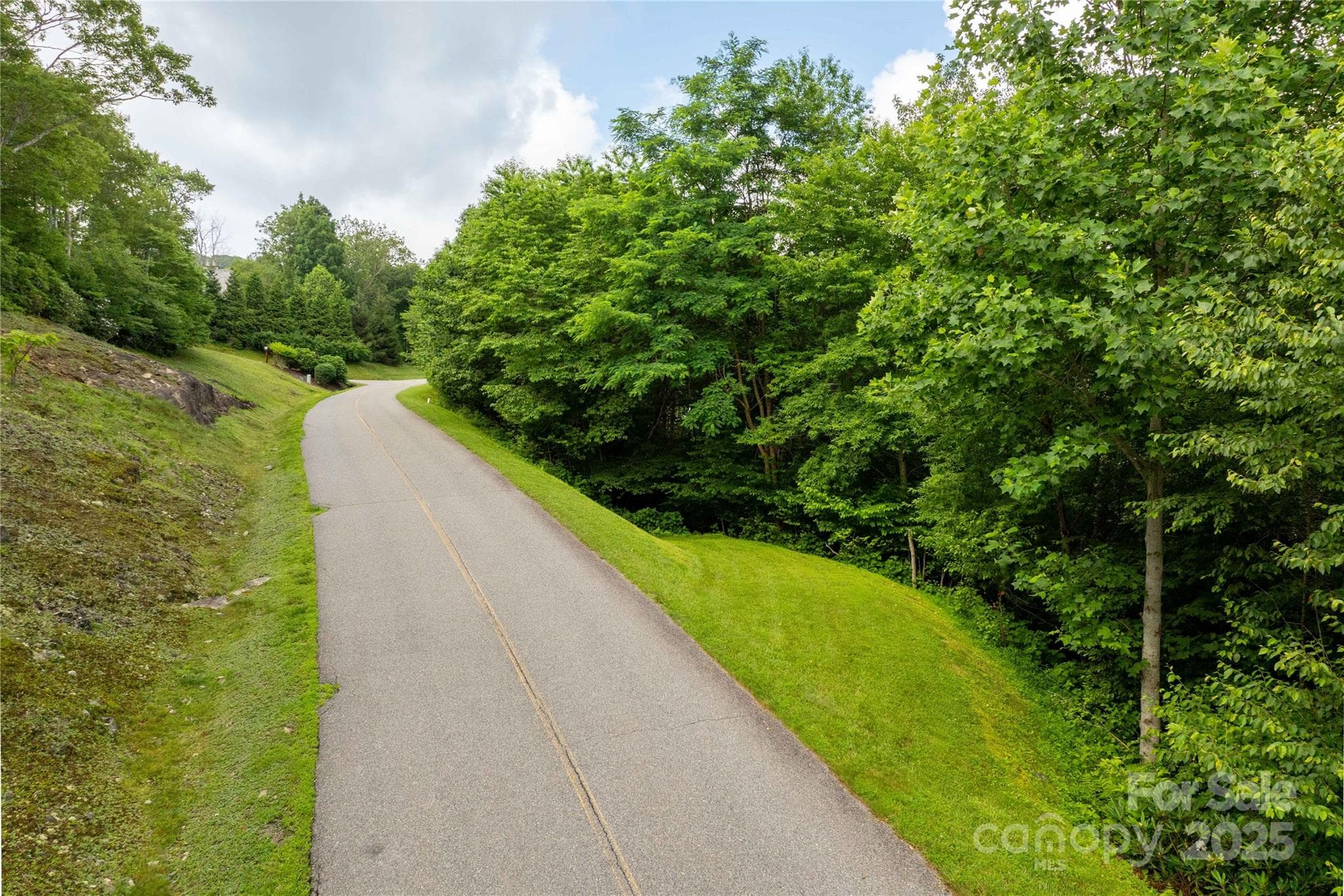 Lot 121 Street View - TBD Lot 121 Firethorn Trail, Blowing Rock