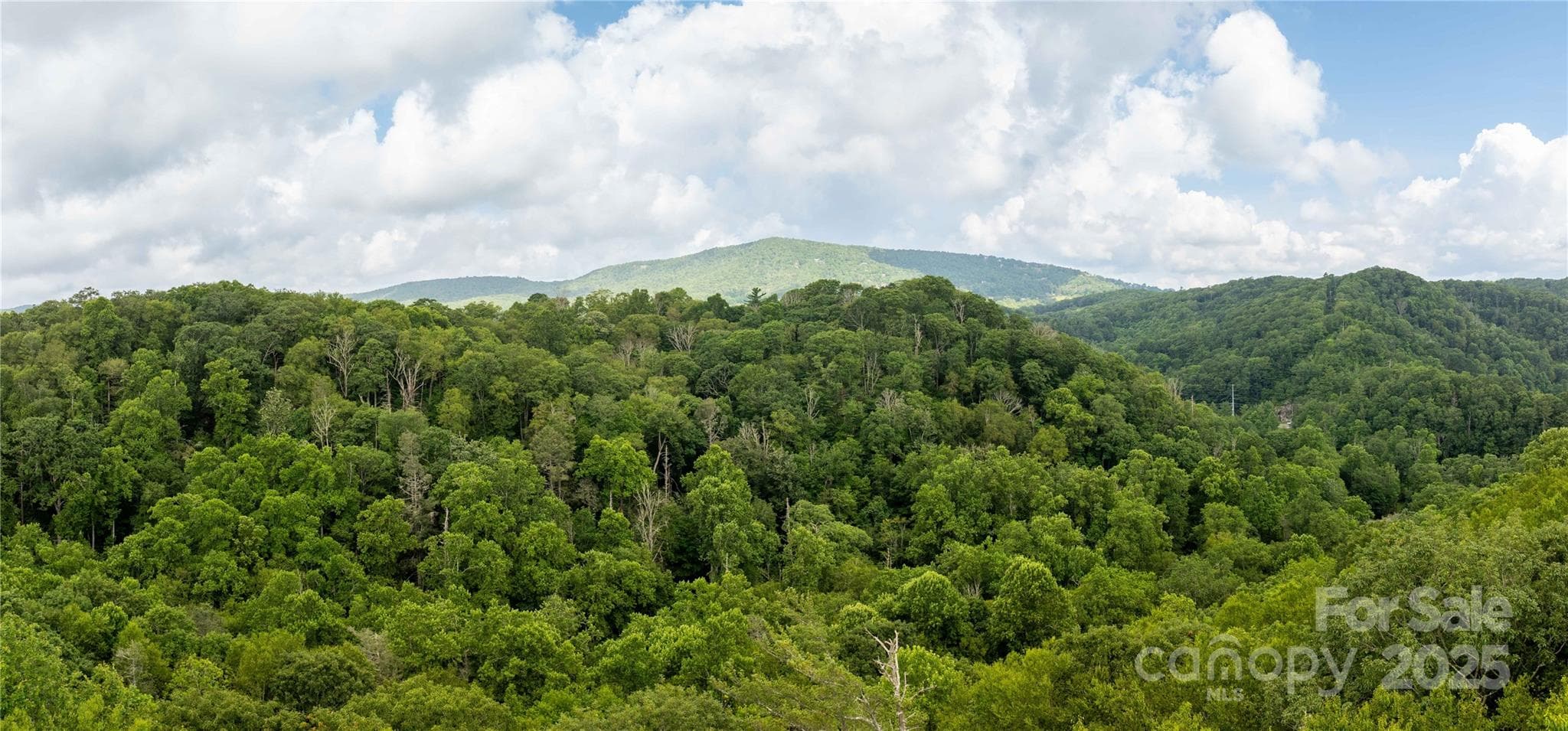 Lot 106, 107 & 123 aerial view - TBD Lot 107 Firethorn Trail, Blowing Rock
