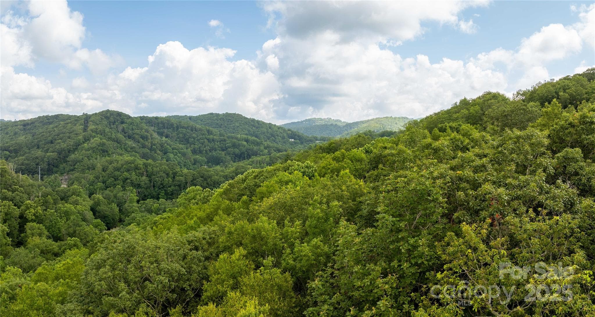 Lot 123 & 124 aerial view - TBD Lot 123 Firethorn Trail, Blowing Rock