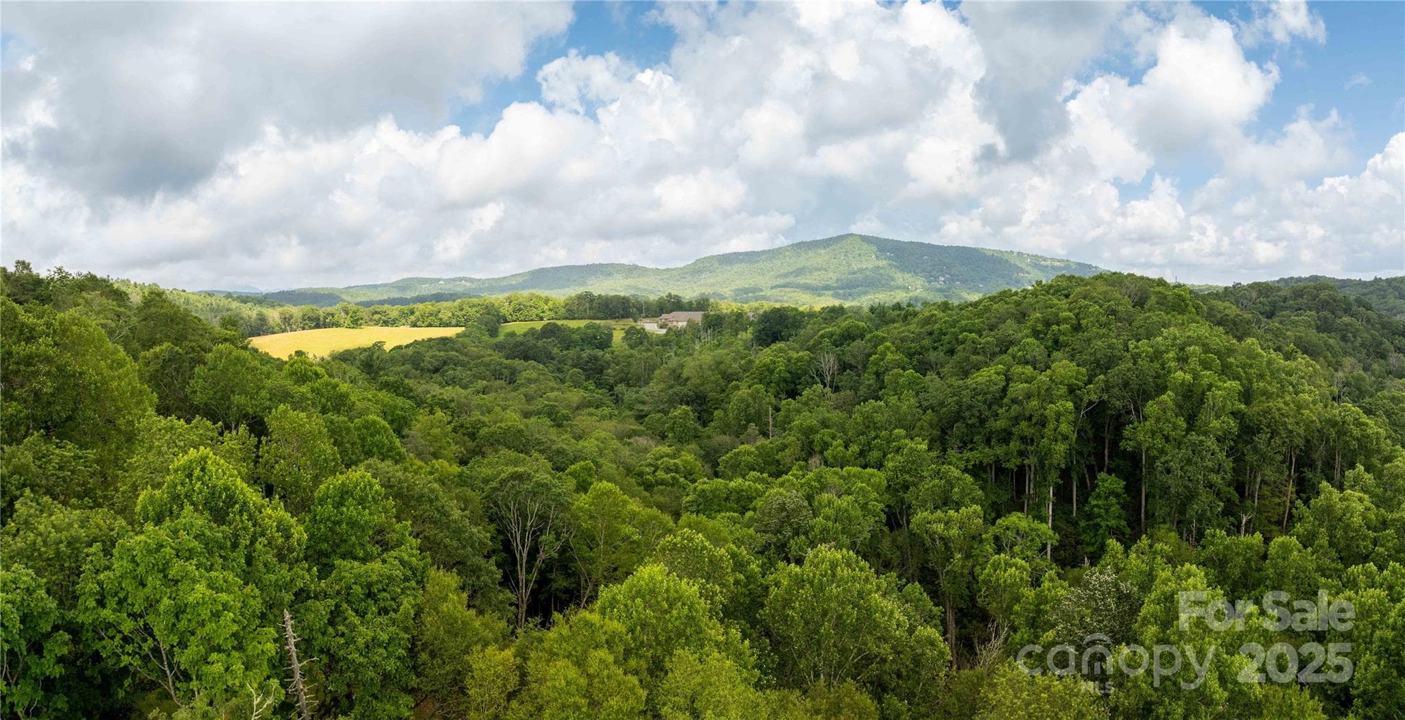 Lot 215 & 217 aerial view - TBD Lot 215 Thunderhill Trail, Blowing Rock