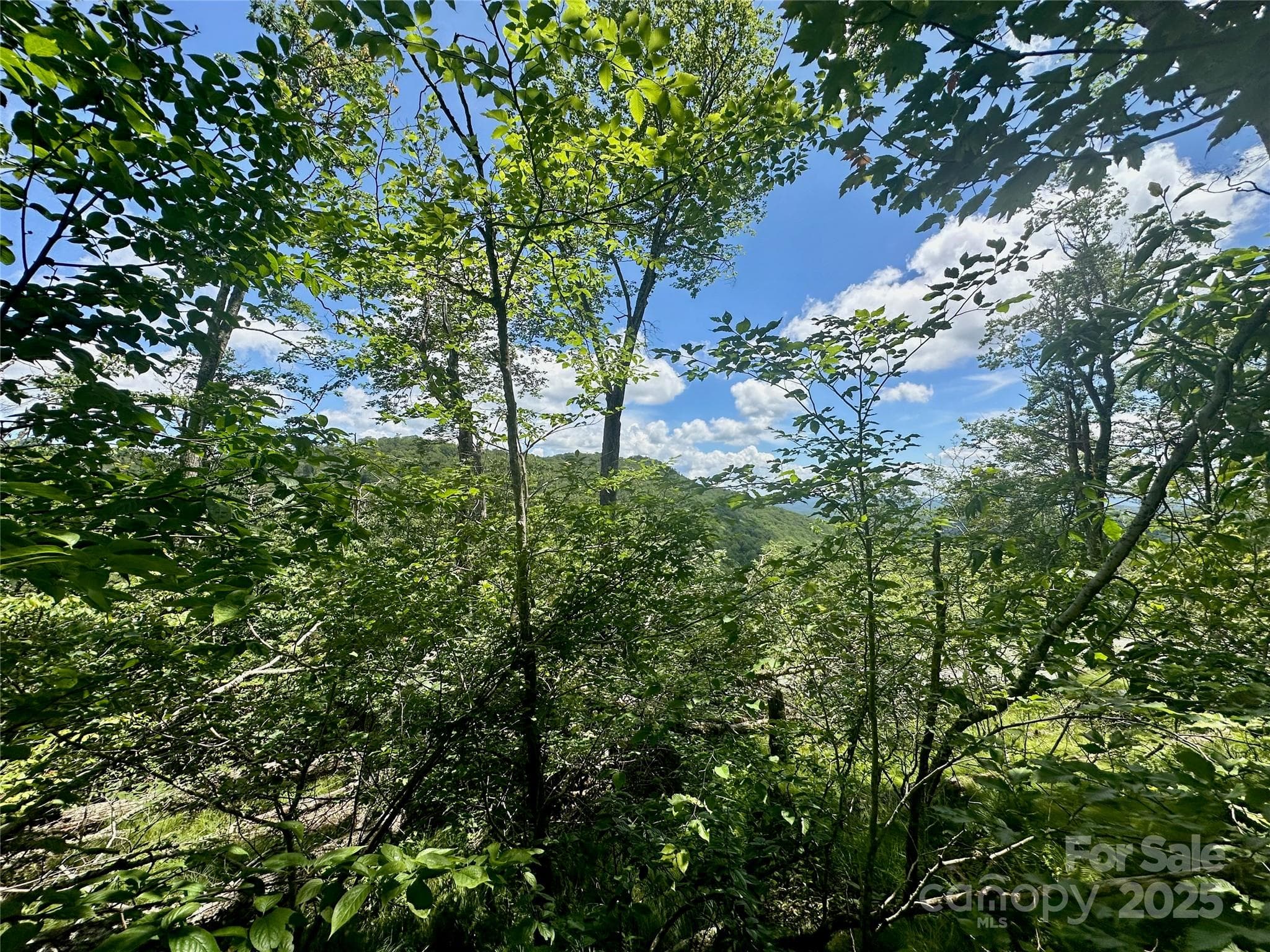 Lot at 255/256 Grouse Moor Drive, Sugar Mountain, photo 15 of 15
