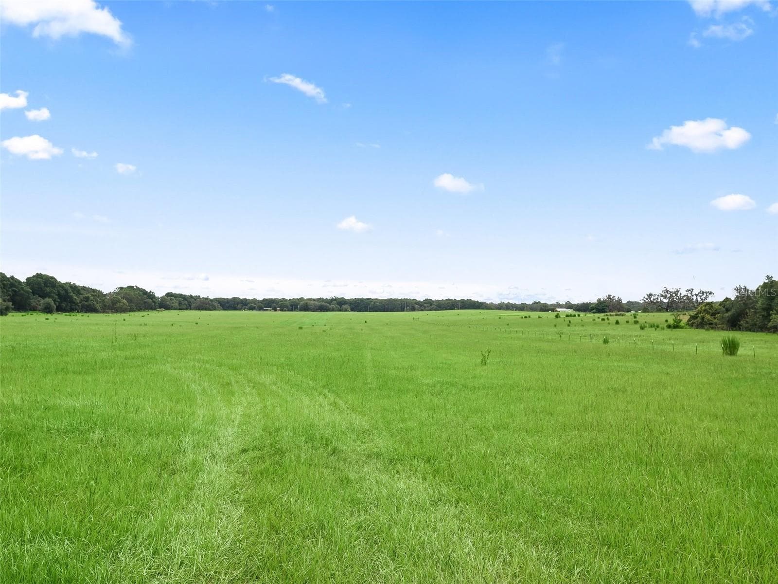 Single Family Residence at 8567 CR 635, BUSHNELL, photo 42 of 47